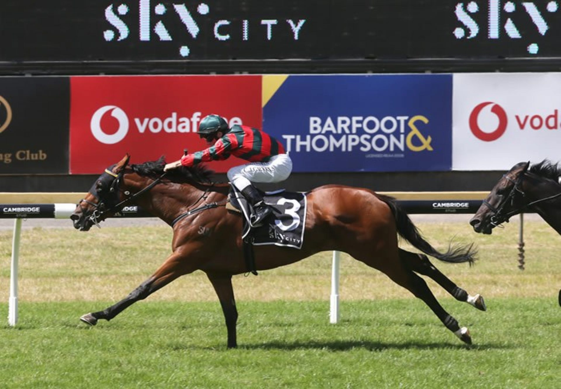 Rocket Spade (Fastnet Rock) winning the G2 Auckland Guineas