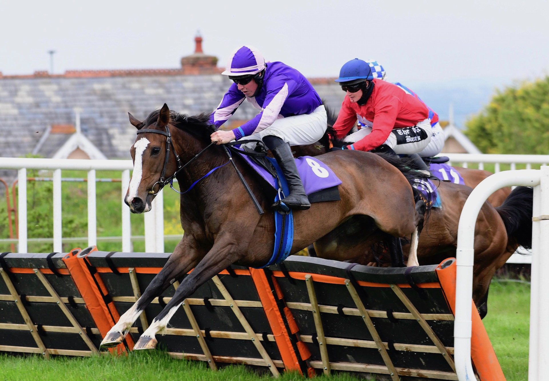 Roisins Ciara (Ocovango) Wins The Mares Maiden Hurdle At Wexford