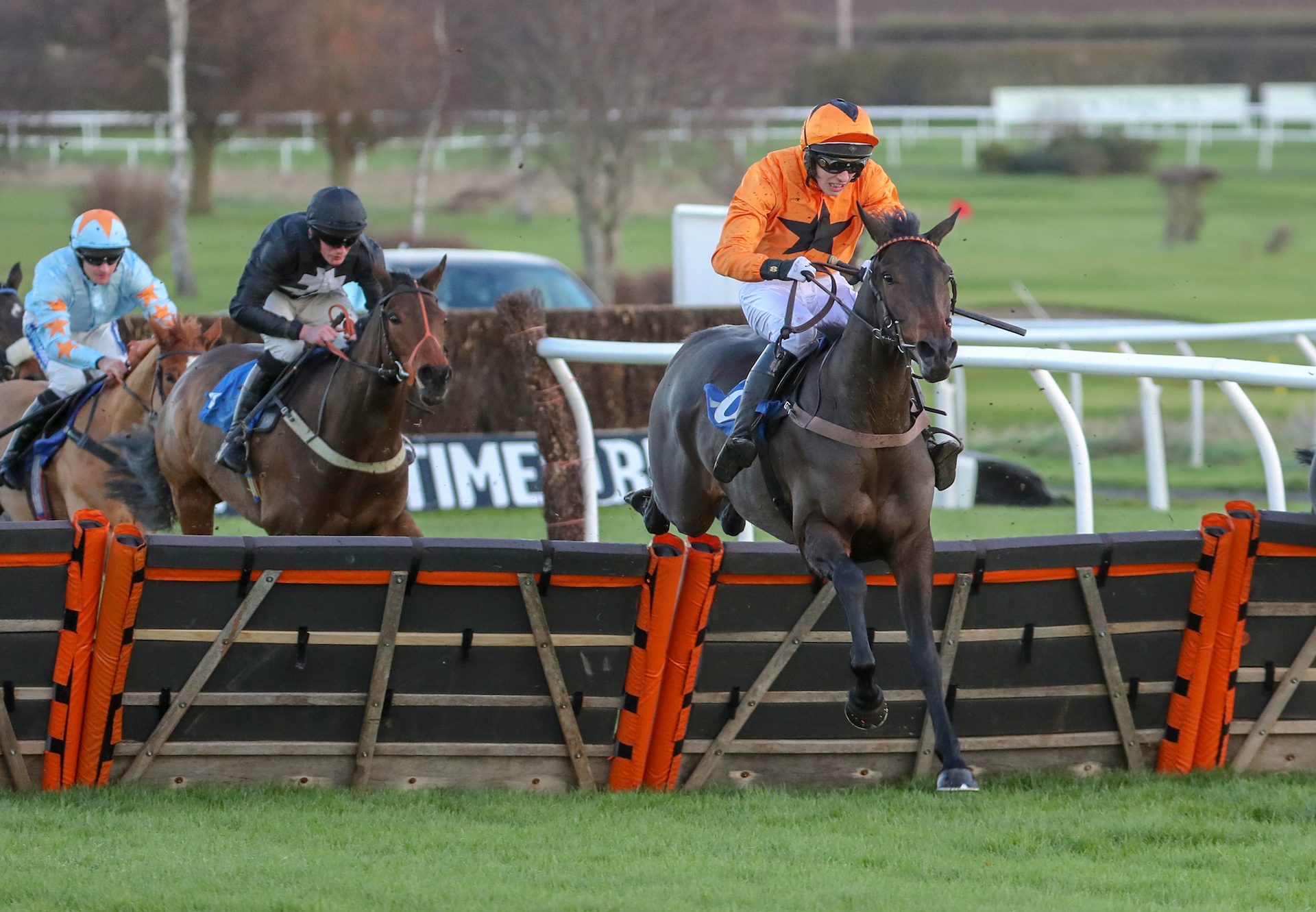 Romeo Brown (Yeats) Wins His Hurdle Debut At Kelso