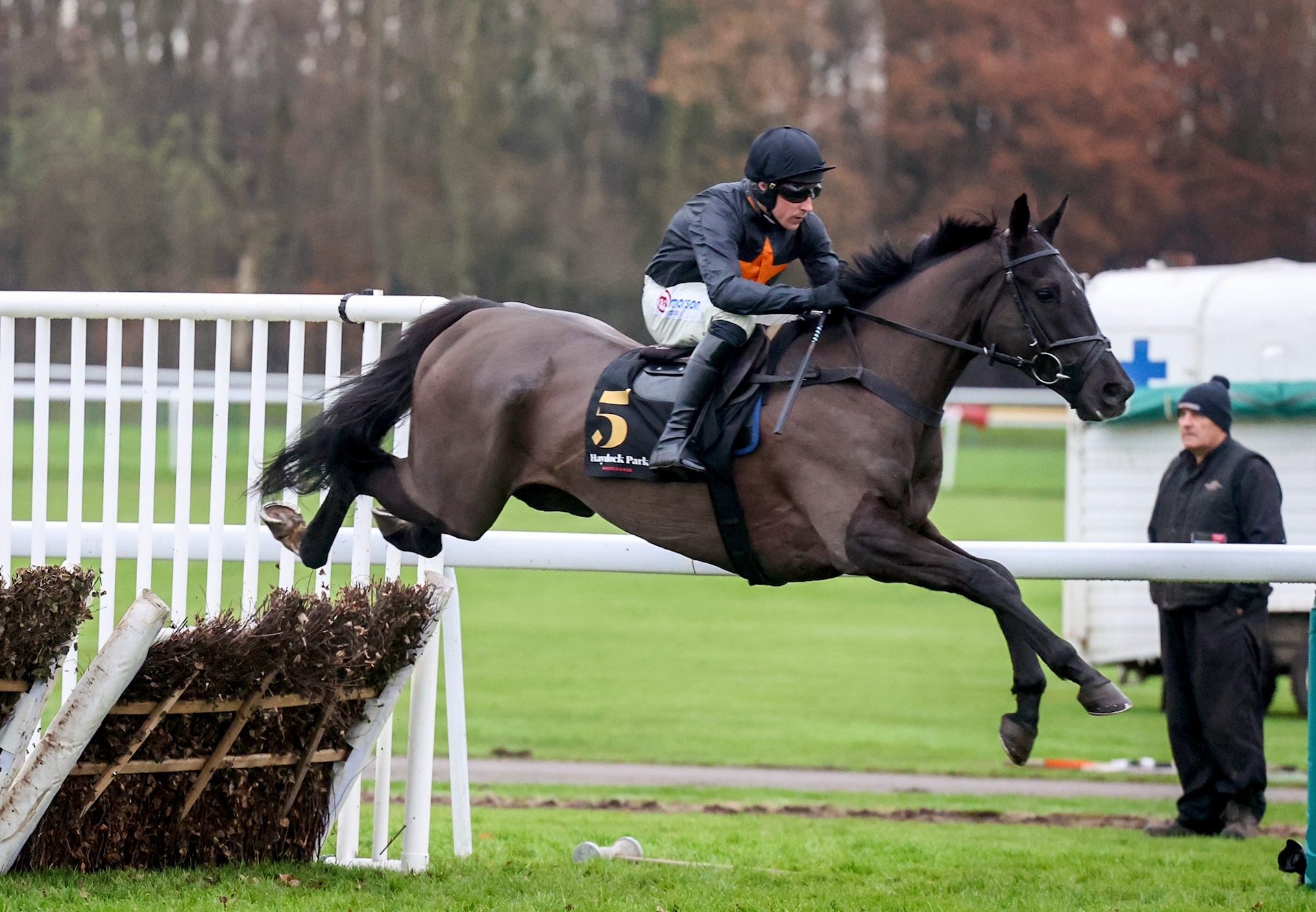 Royal Infantry (Soldier Of Fortune) Impresses At Haydock