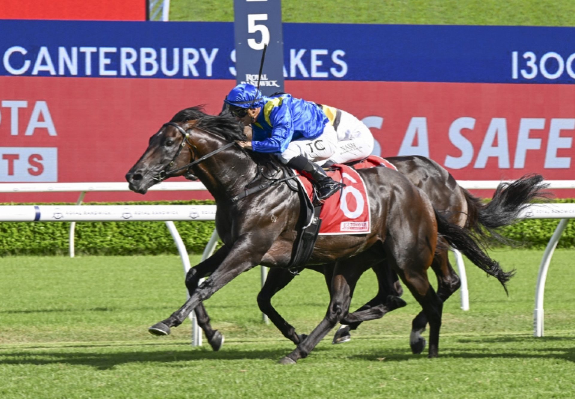 Royal Patronage (Wootton Bassett)  Canterbury 750