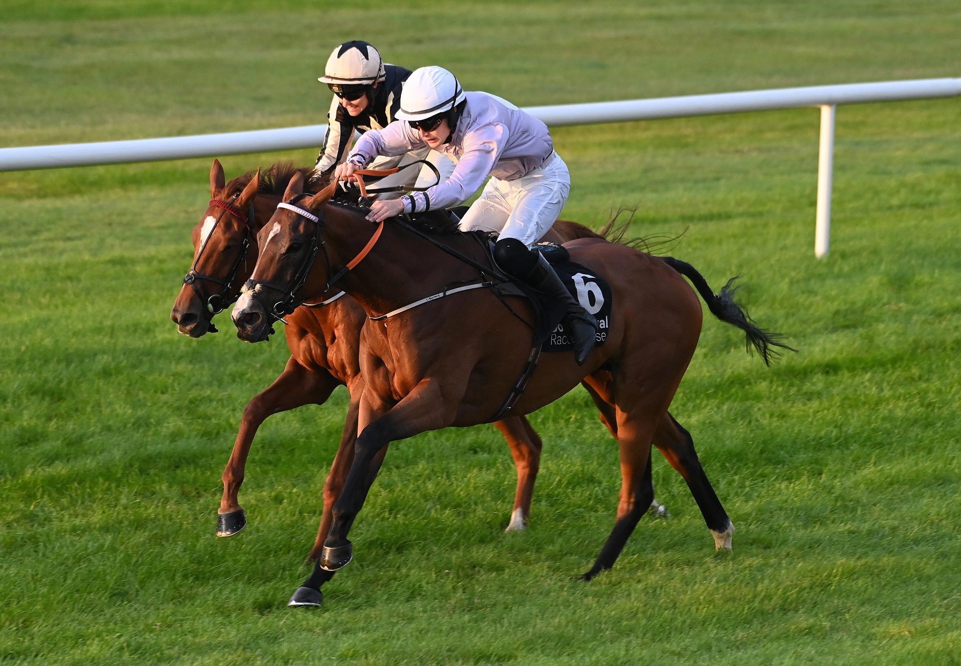 Run For Mahler (Mahler) Down Royal