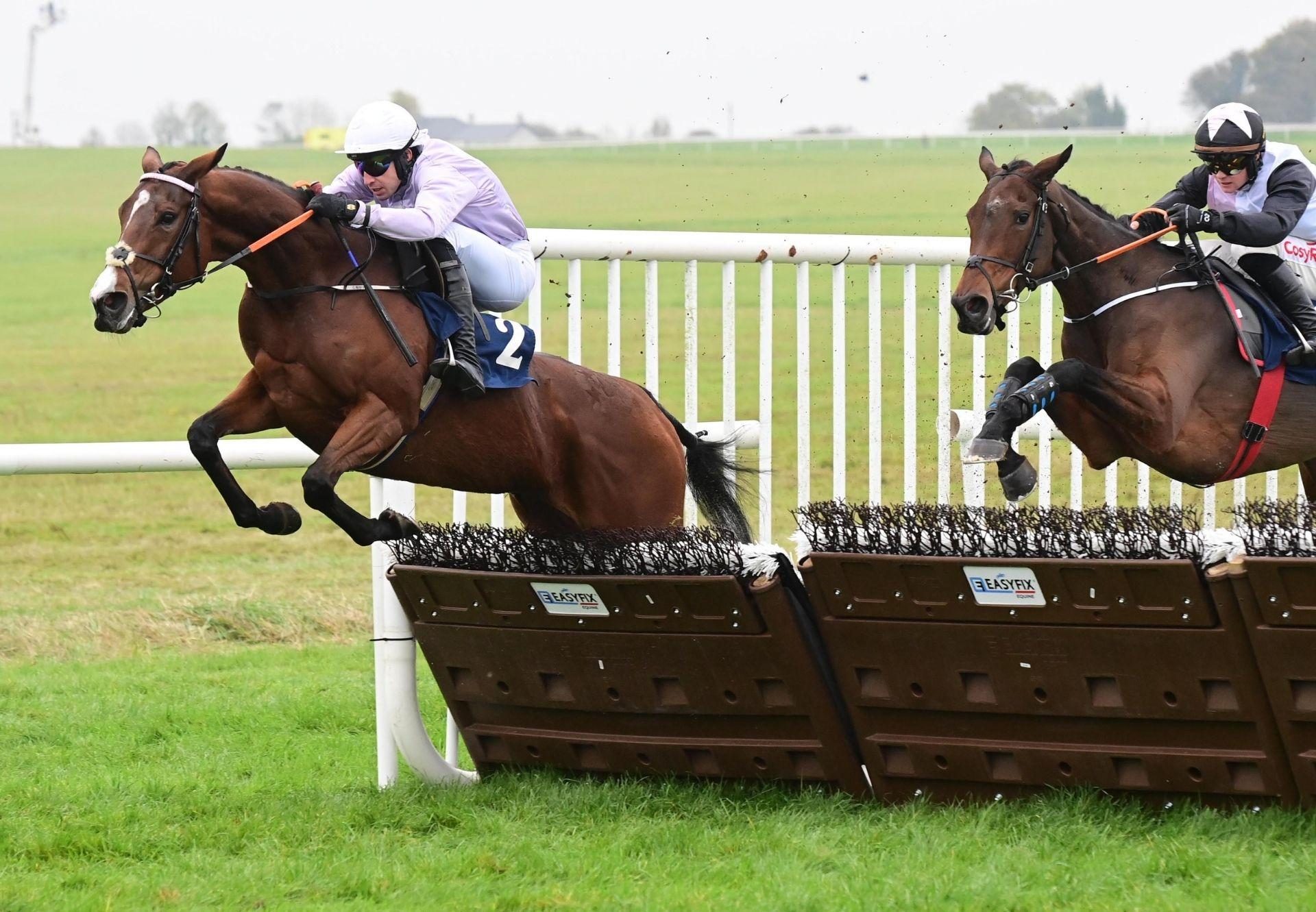 Run For Mahler Mahler Thurles