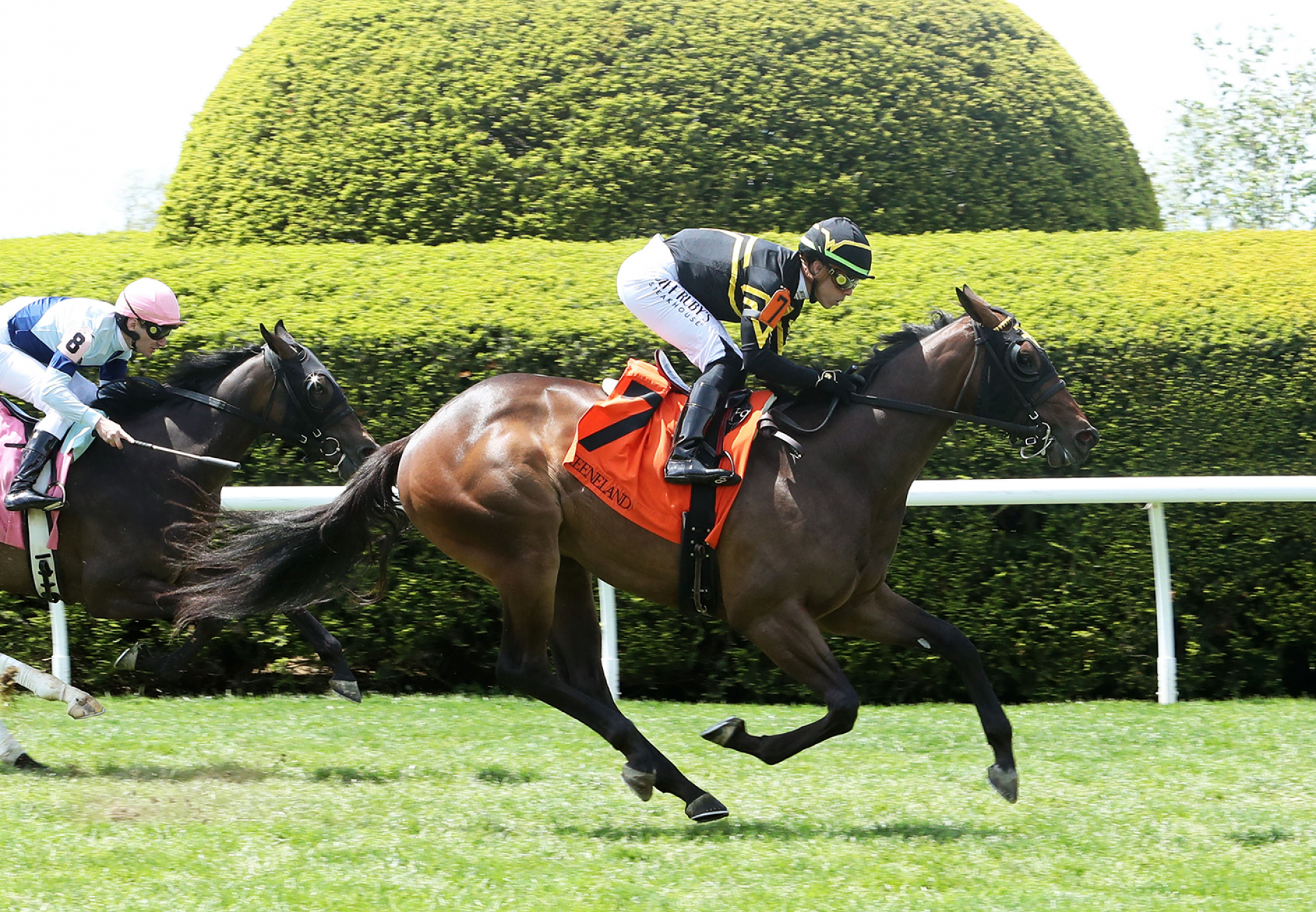 Saturday Flirt (Mendelssohn) Wins Keeneland Msw