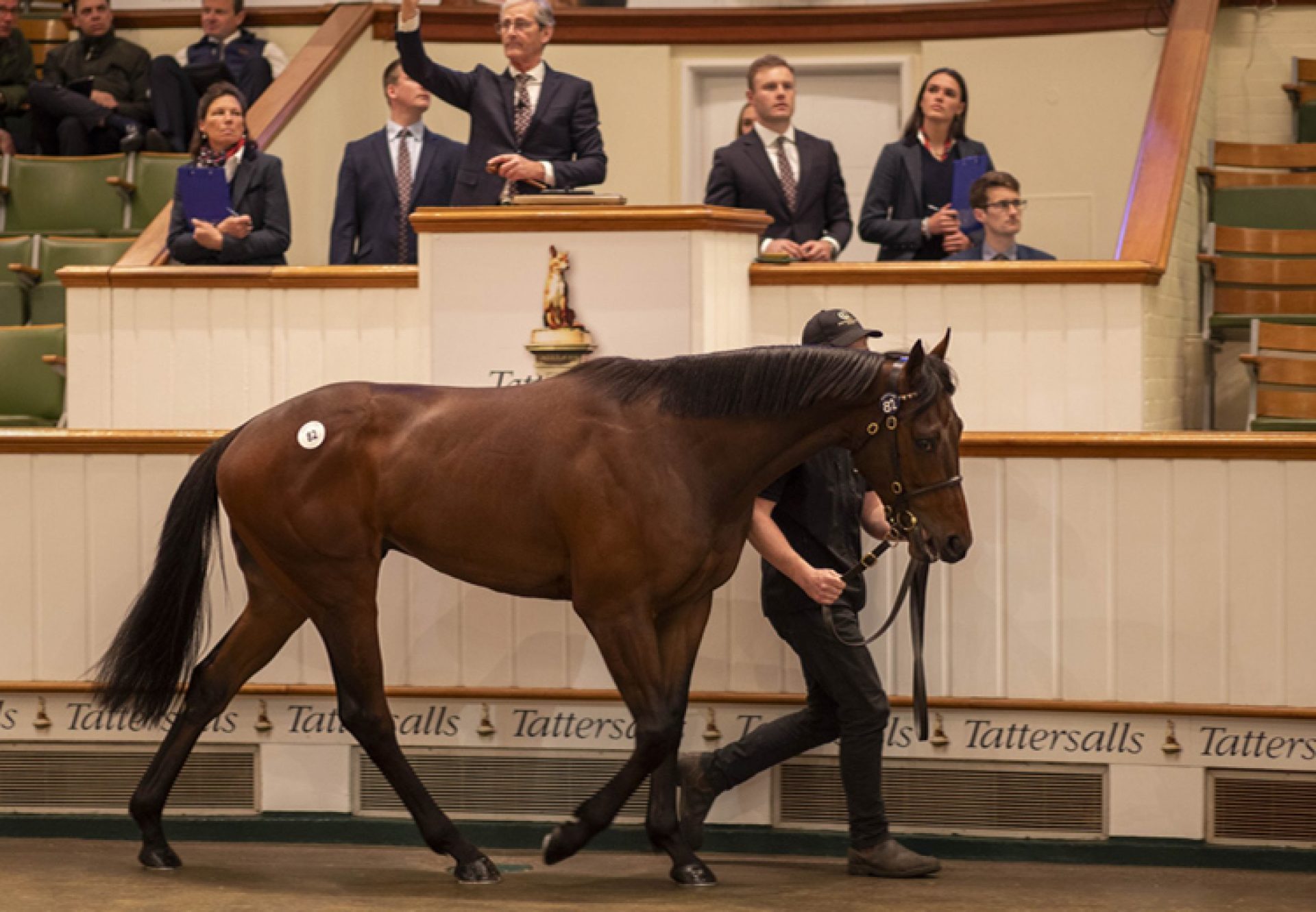 Smb X Layaleena Tatts Craven