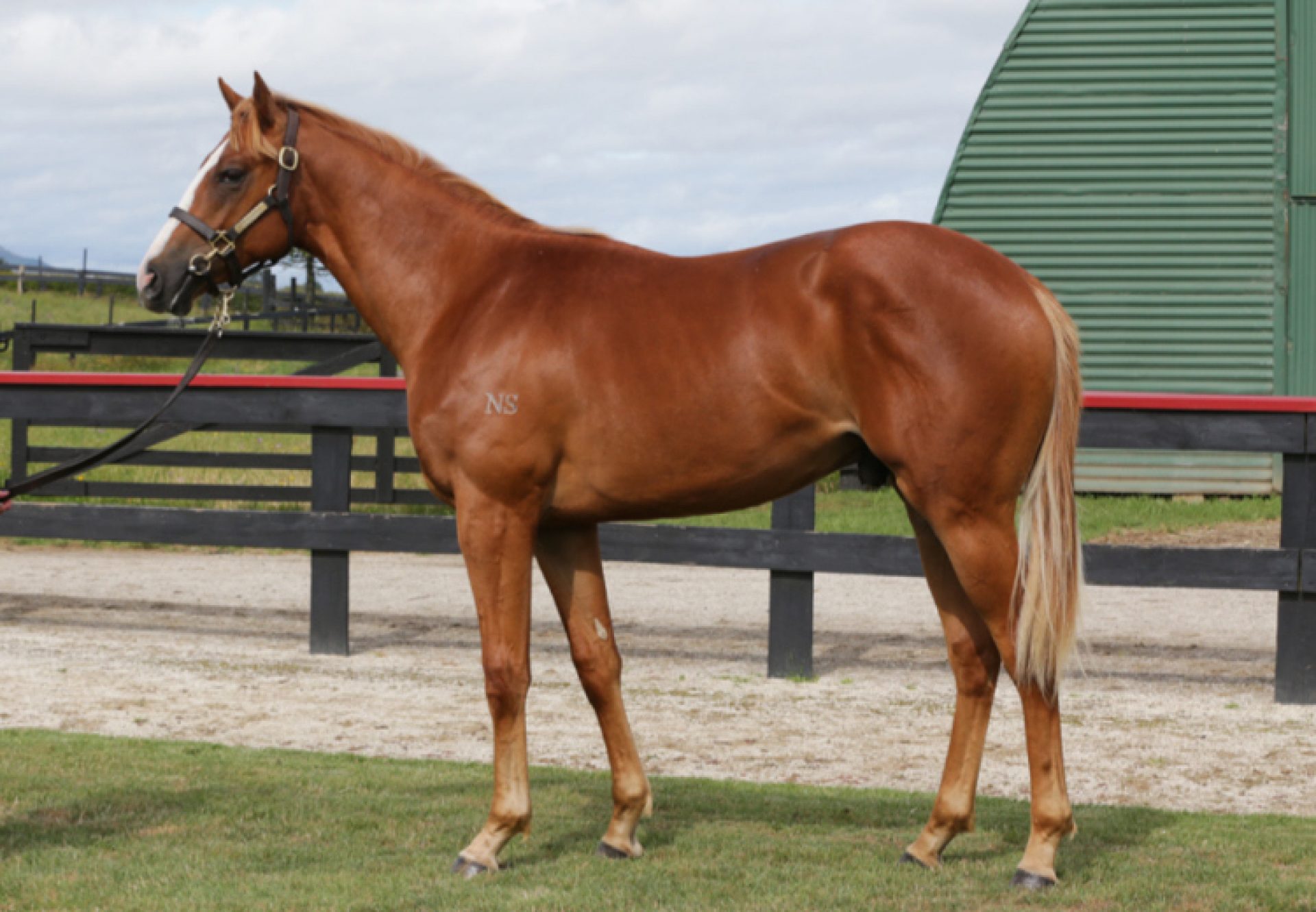 Smb X With Certainty 750