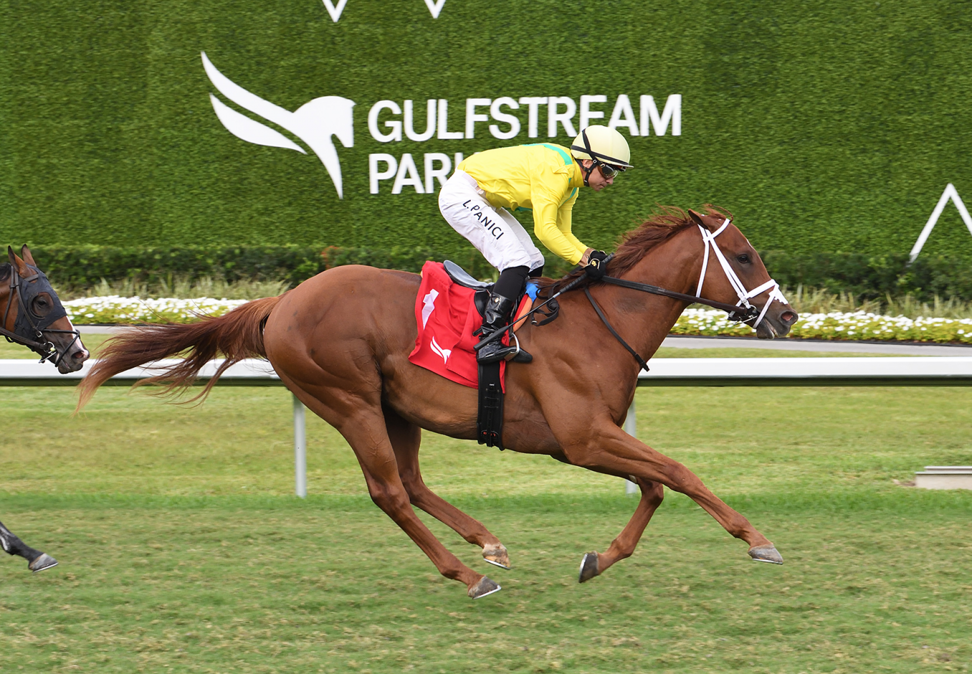 Sandals Song (Mendelsohn) Wins Royal Palm Juve
