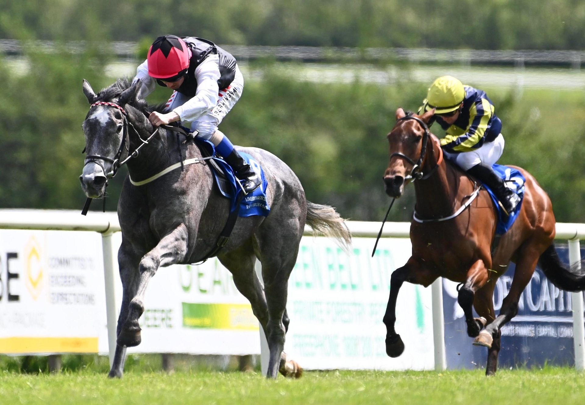 Sara Valentina (No Nay Never) Wins Her Maiden At Limerick