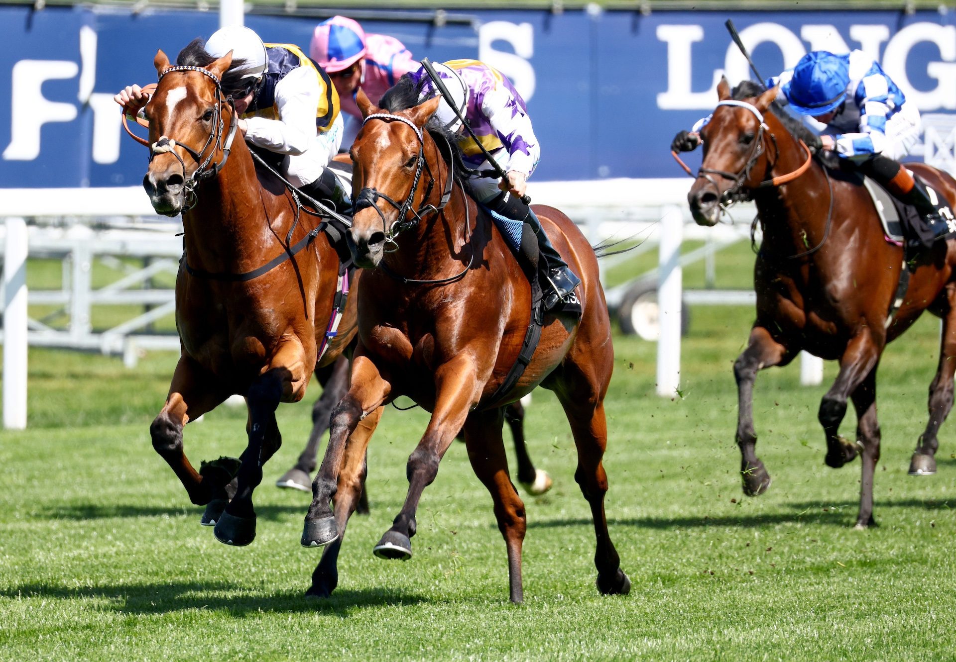 Sardinian Warrior (Saxon Warrior) Wins The Listed Paradise Stakes