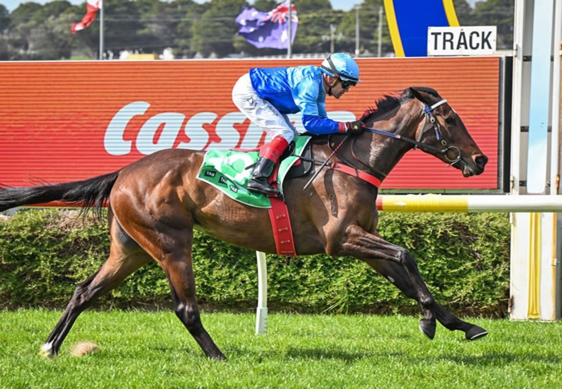 Savitri so you think Warrnambool 750