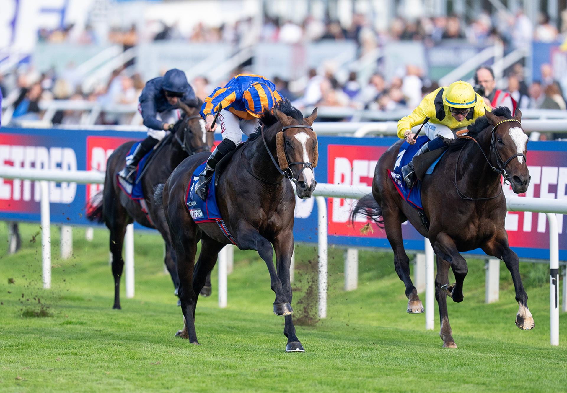 Scandinavia Justify Wins Gr 1 St Leger