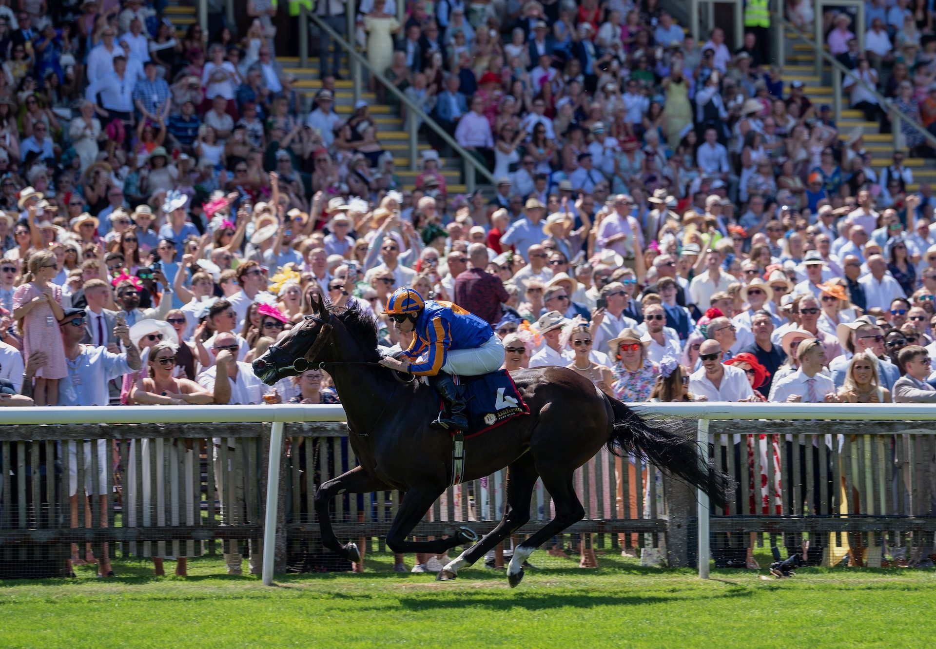 Scandinavia (justify) Wins The Bahrain Trophy