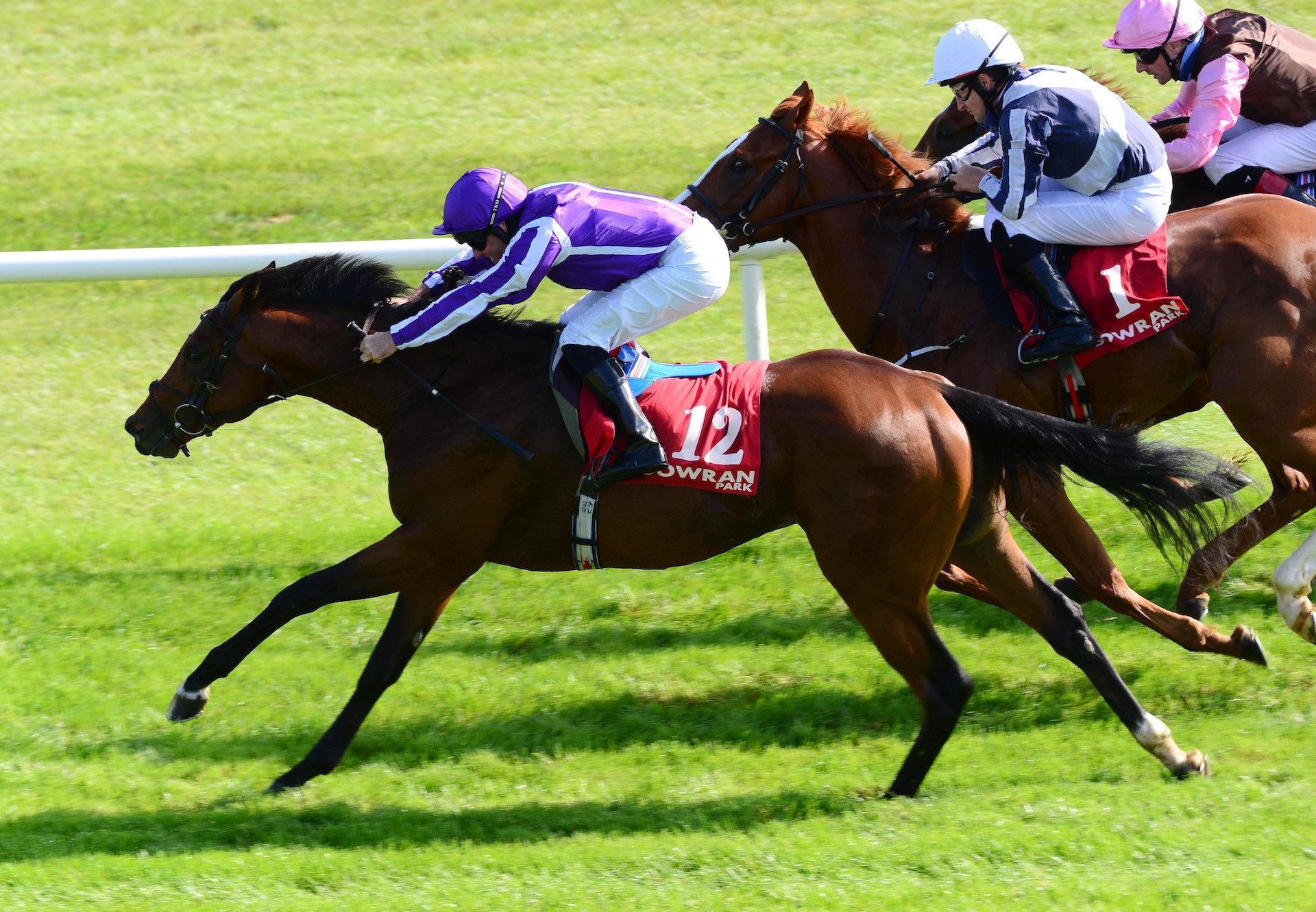 Scriptwriter (Churchill) Wins His Maiden At Gowran Park
