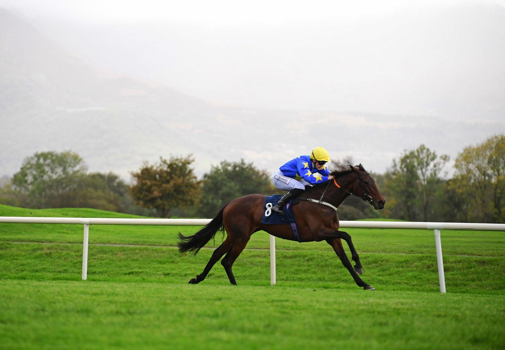 Seo Linn Order Of St George Killarney