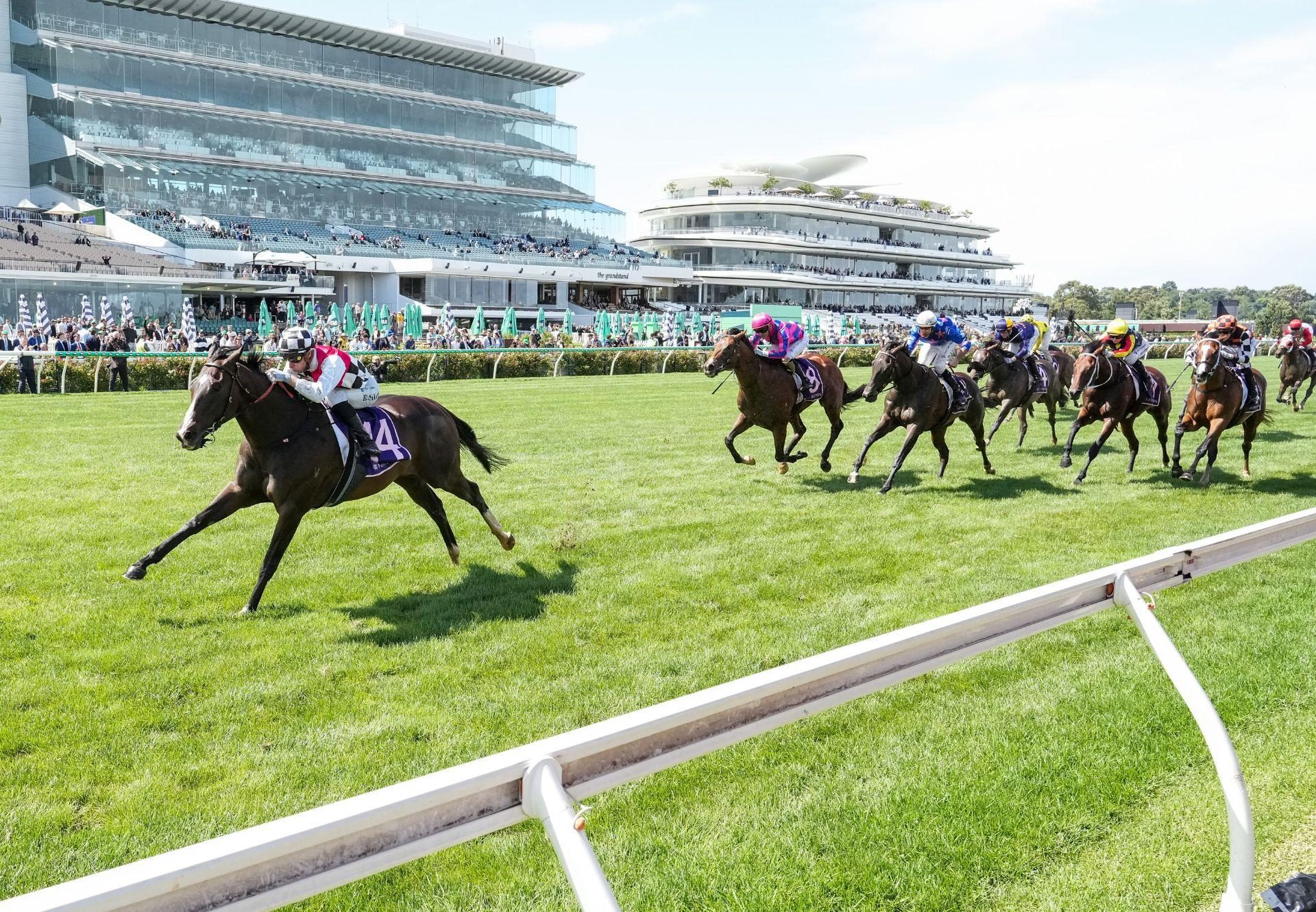 Sepal (Calyx) G3 CS Hayes