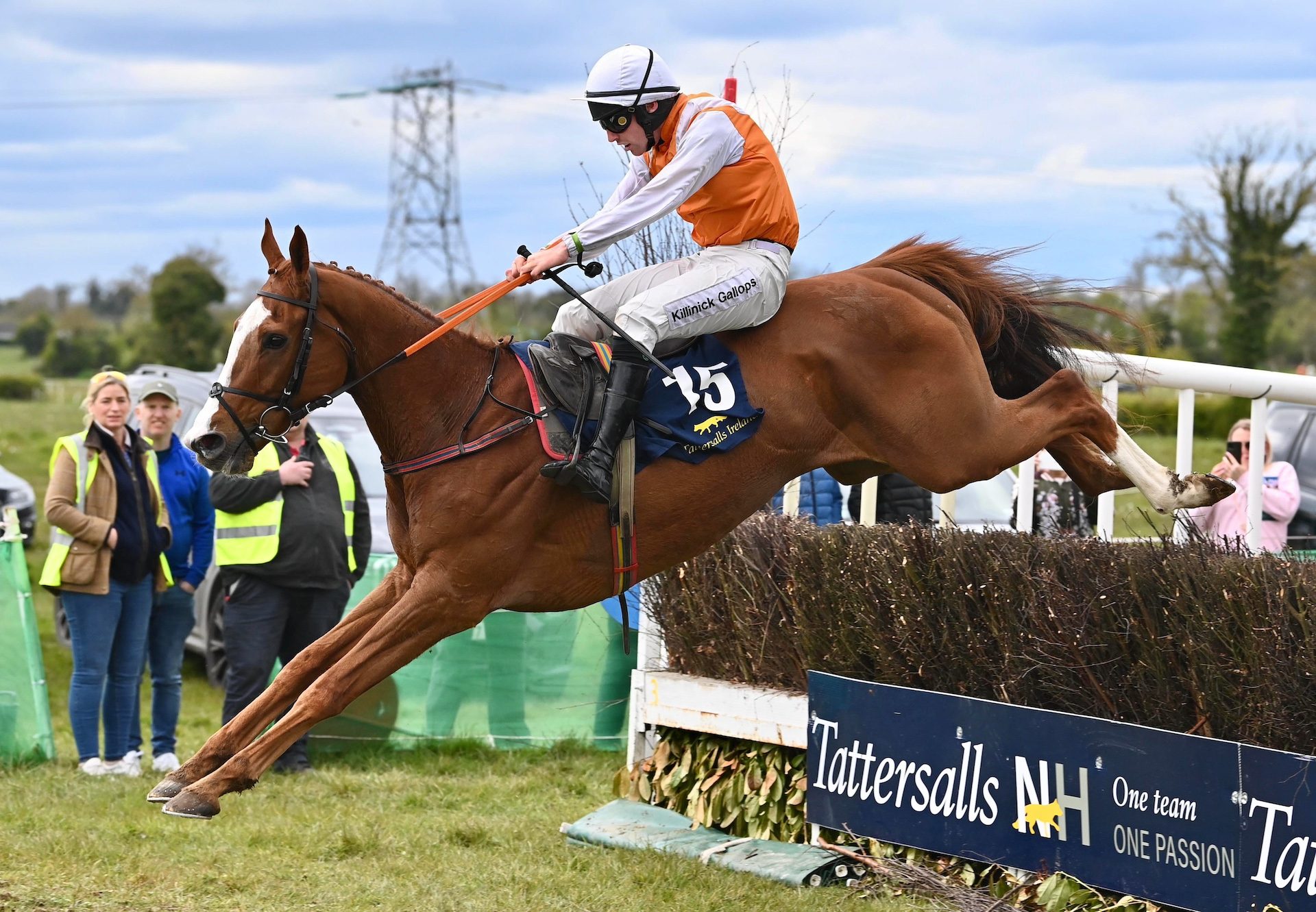 Shattered Soldier (Soldier of Fortune) Wins At Tattersalls