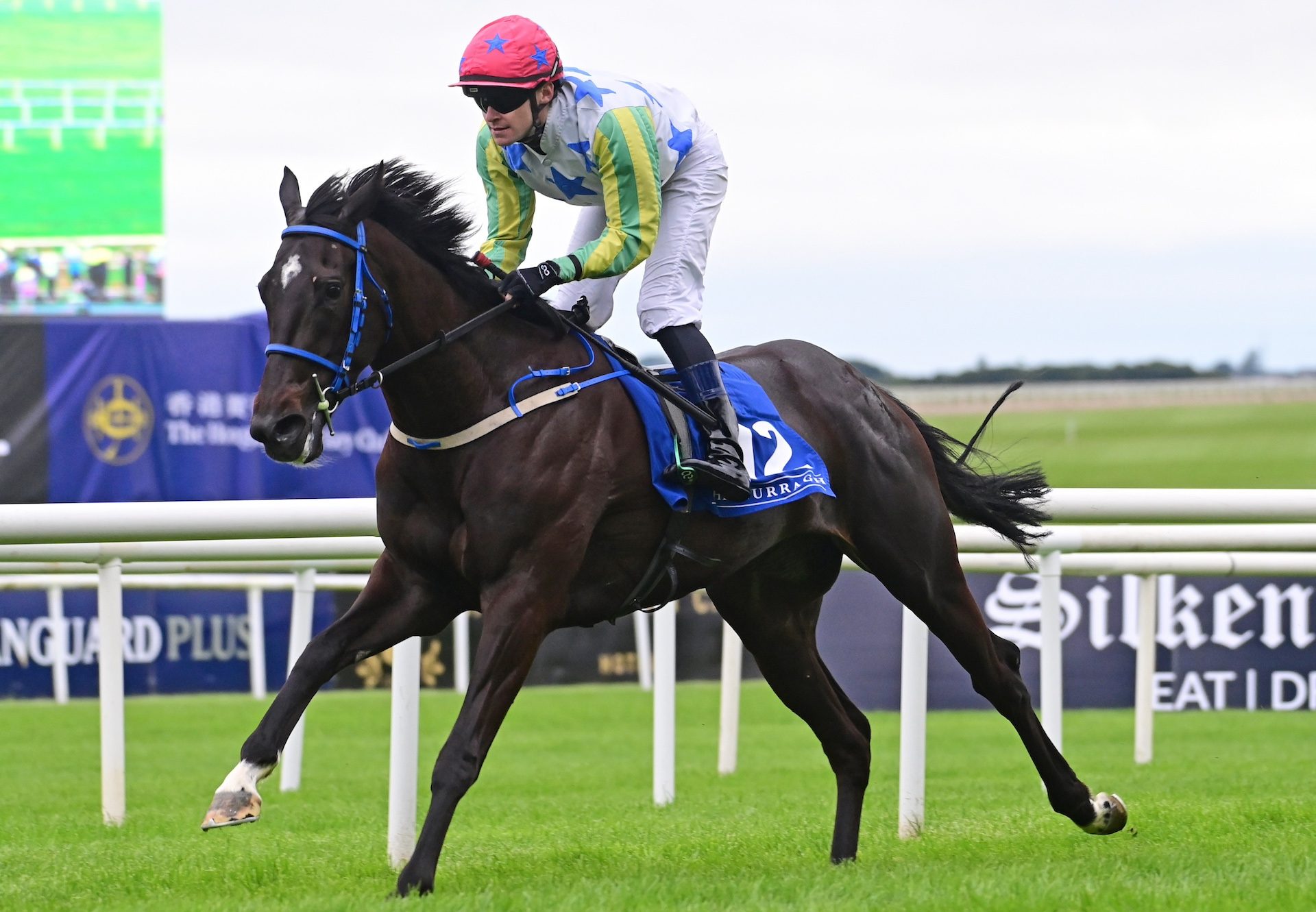 Shes A Nation (sioux nation) Wins On Debut At The Curragh