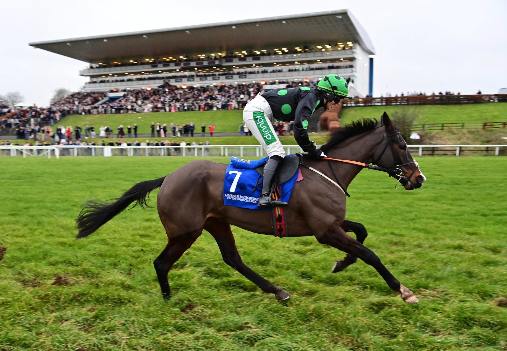 Shesakindofmagic (Mahler) Wins The Mares Bumper At Limerick