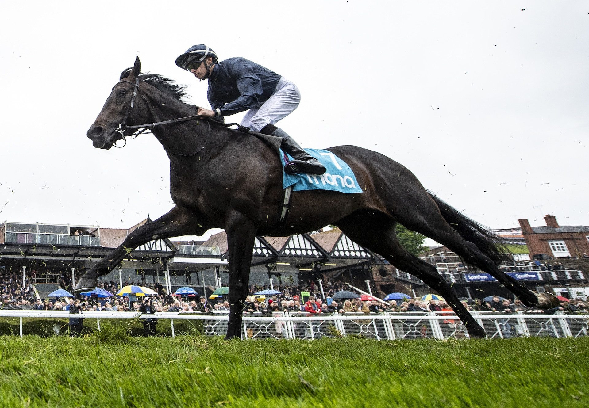 Sir Dragonet (Camelot) Becomes A Leading Derby Fancy For Camelot