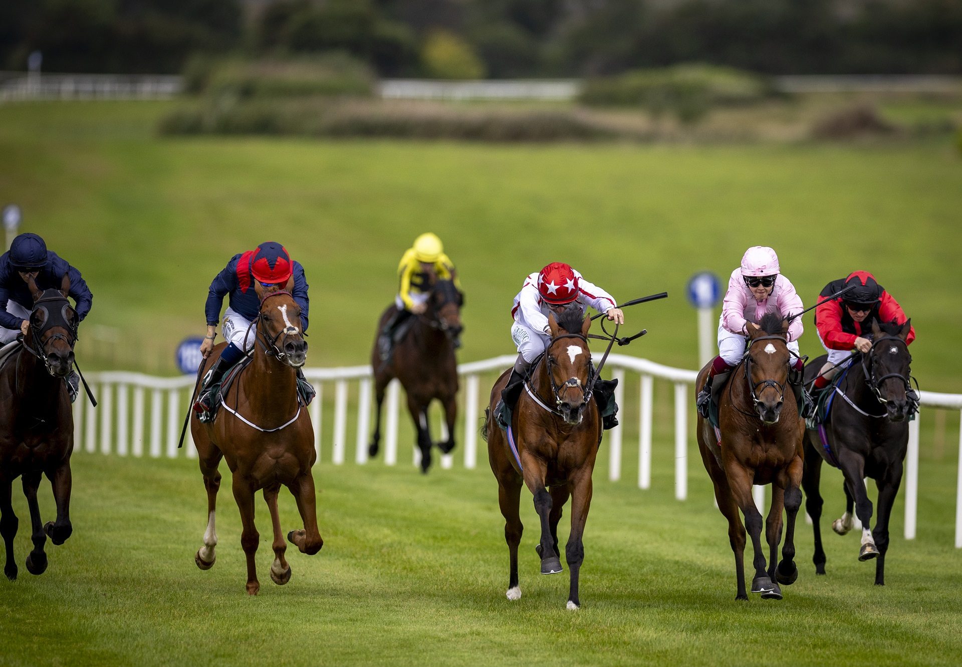 Slaudeen (Starspangledbanner) Navam