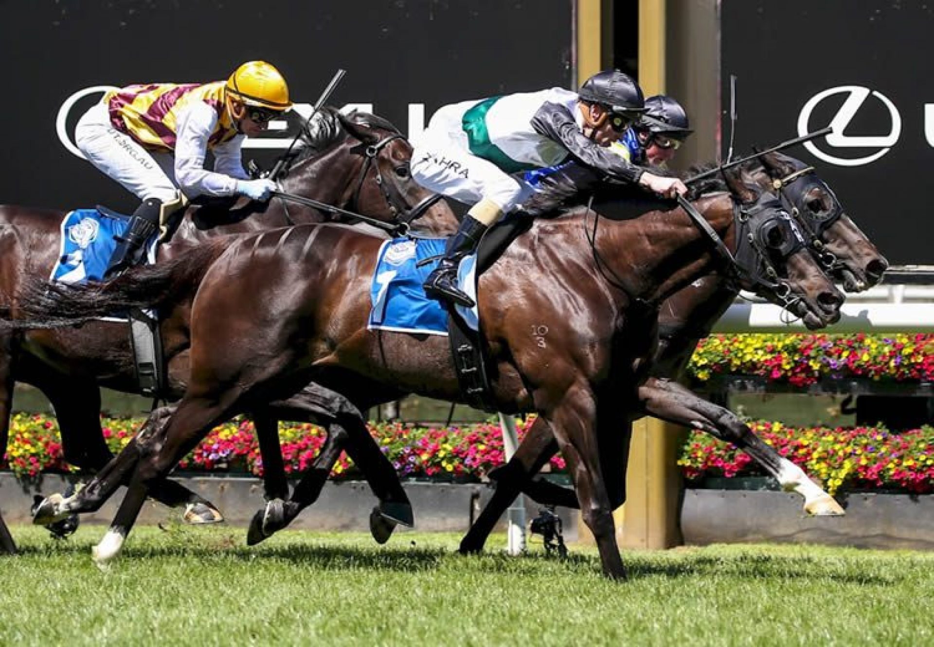 So Si Bon (So You Think) winning the Listed March Stakes at Flemington