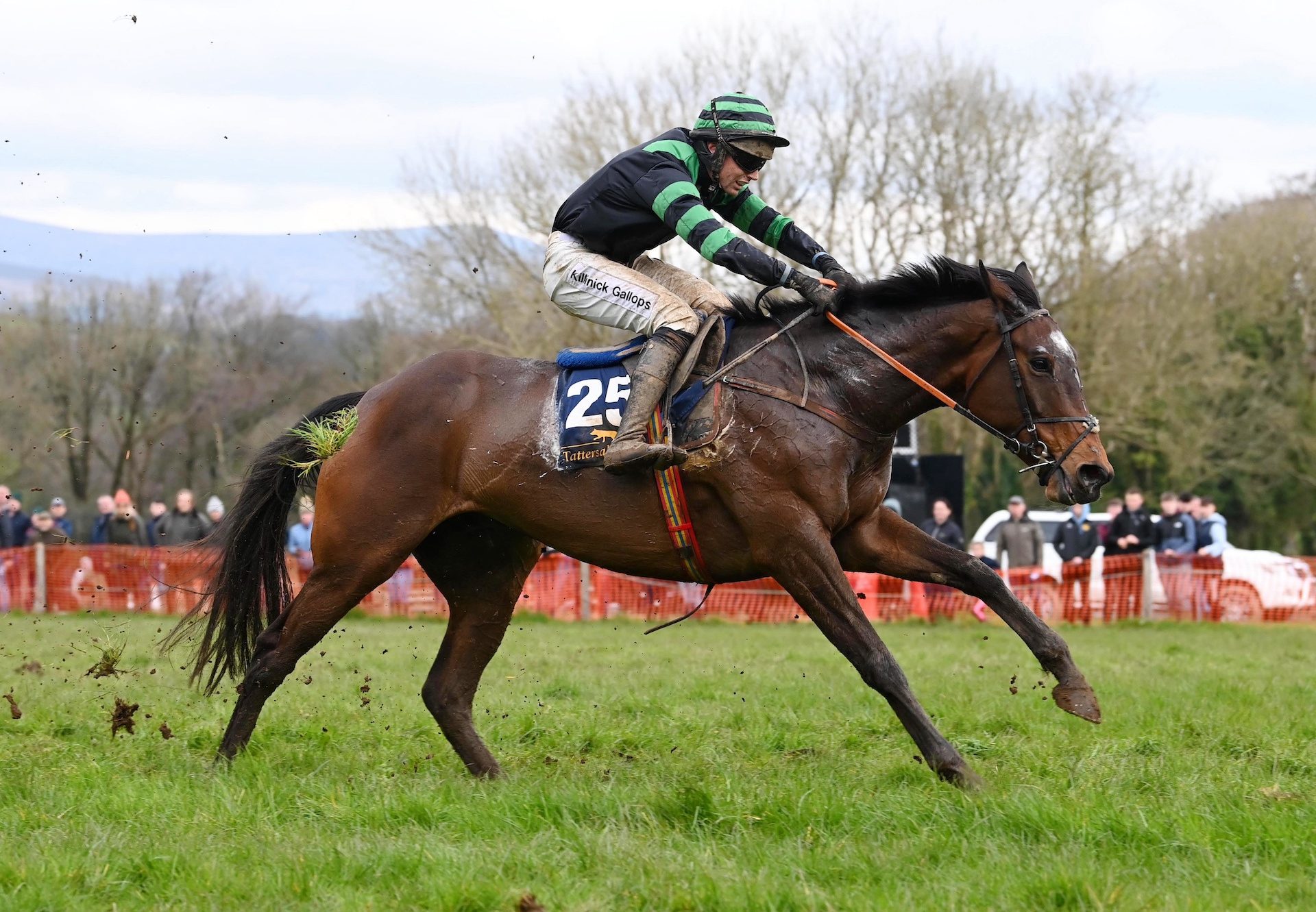 Soldier In Milan (Soldier Of Fortune) Wins At Monksgrange