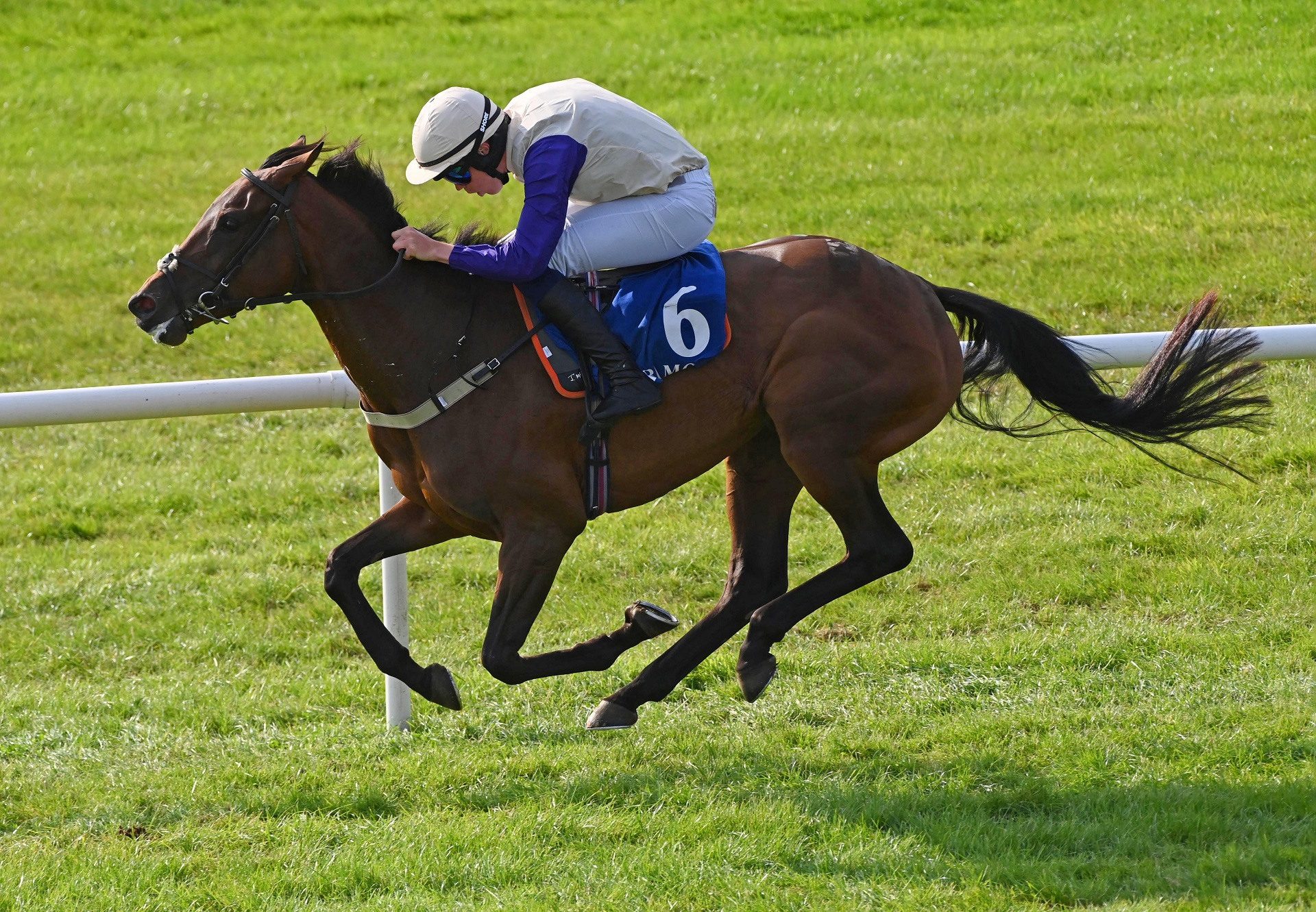 Something Fabulous (getaway) tramore