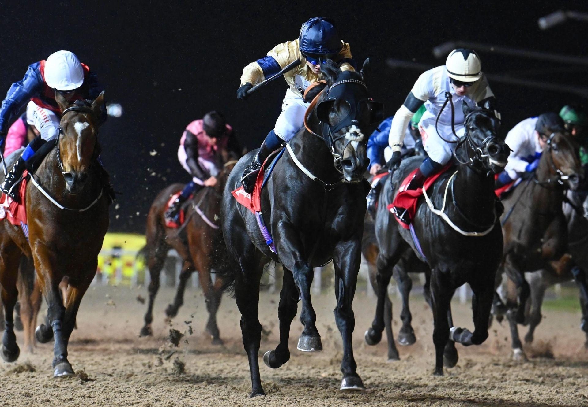 Spartan Arrow Sioux Nation Dundalk