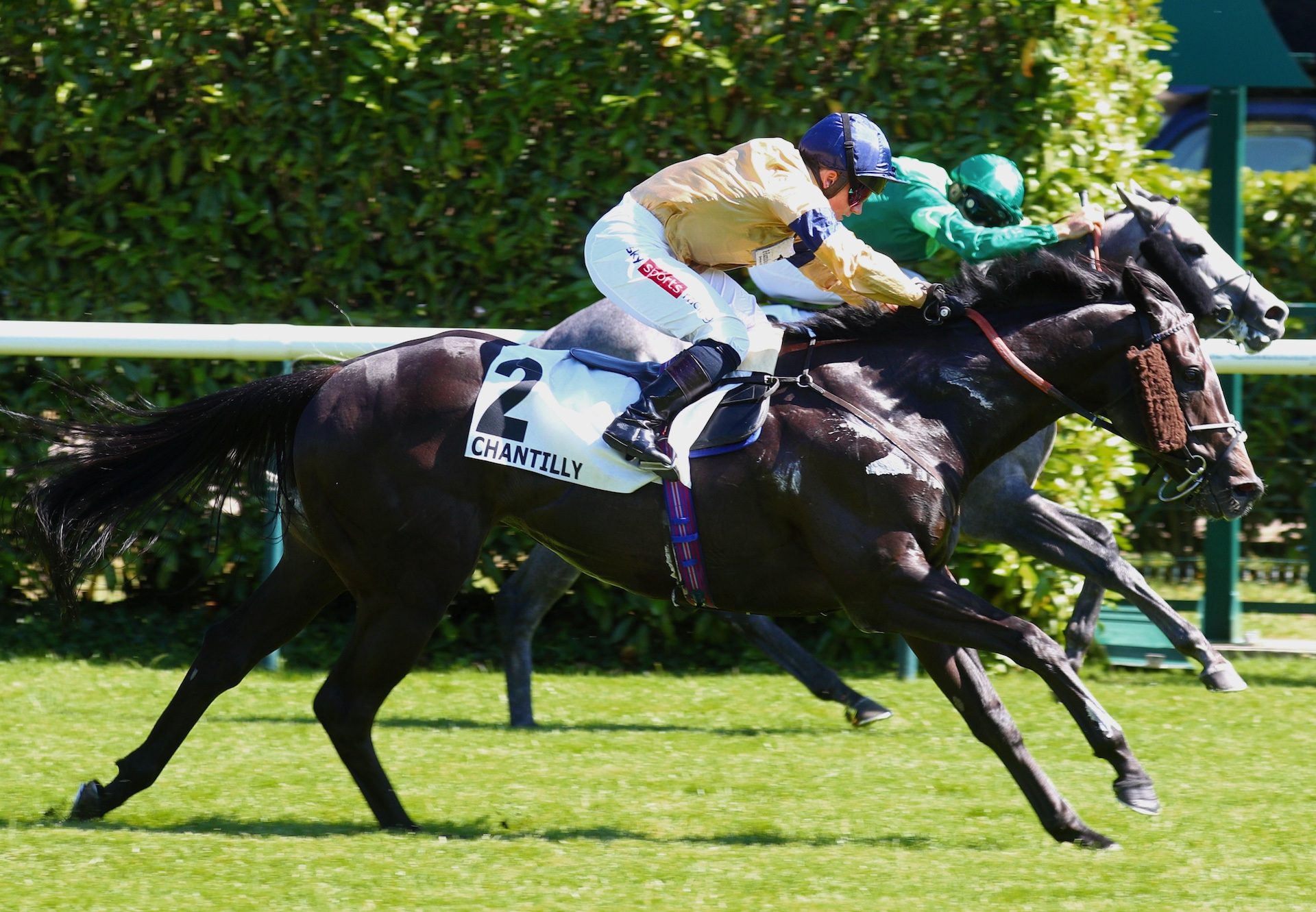 Spartan Arrow (sioux nation) Wins The Listed Prix Hampton