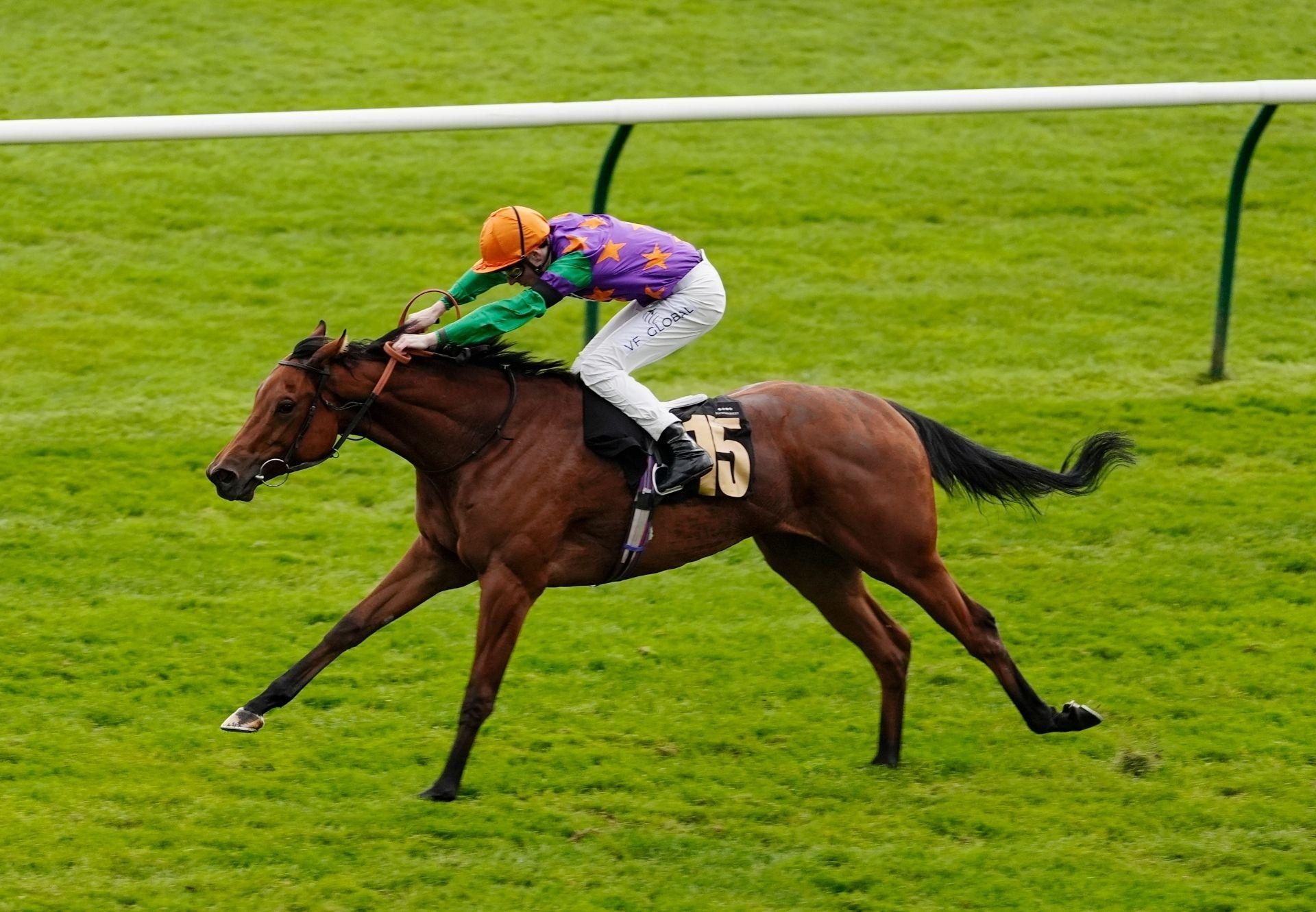 Spicy Marg Starspangledbanner Newmarket