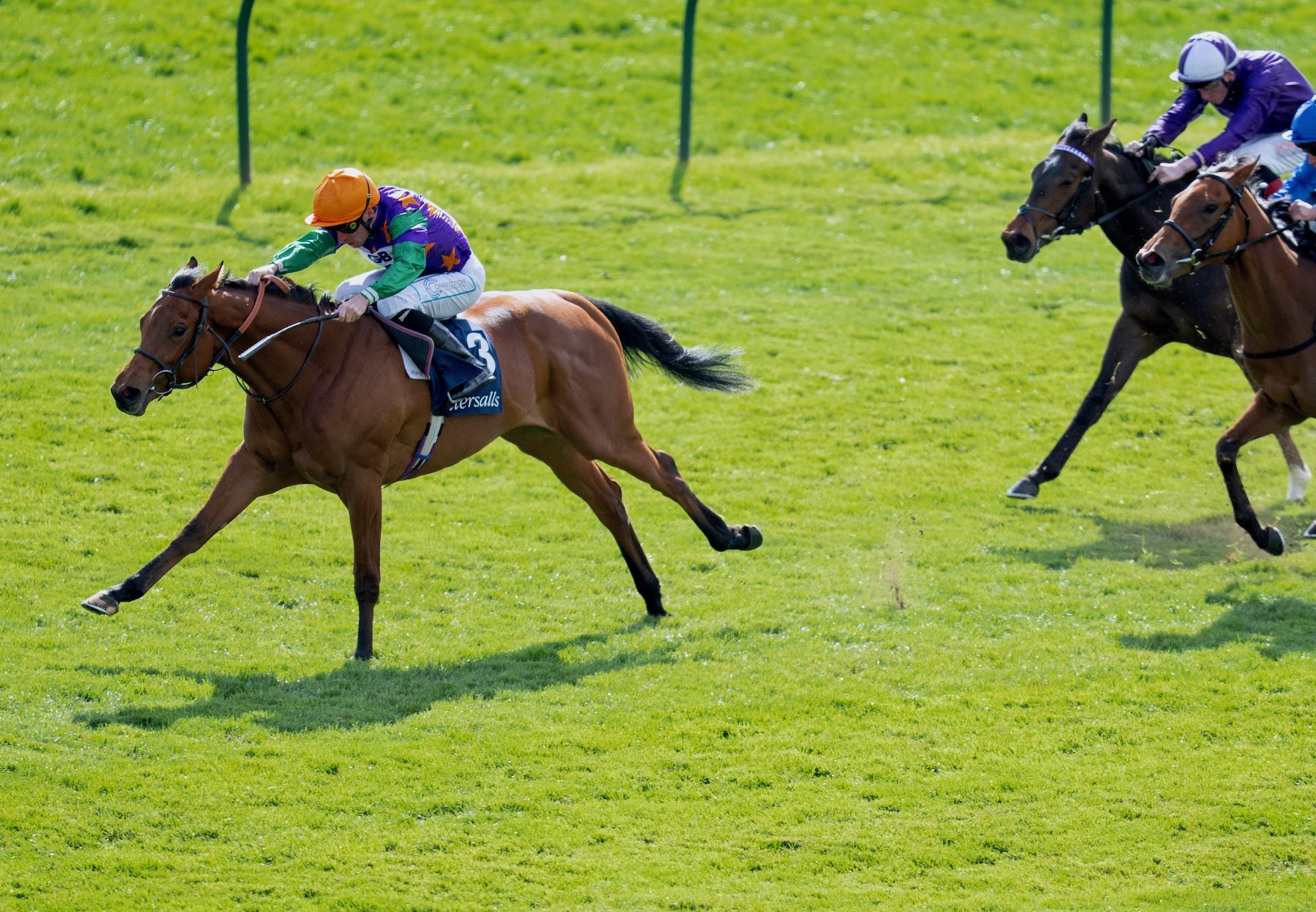 Spicy Marg Wins On Debut At Newmarket