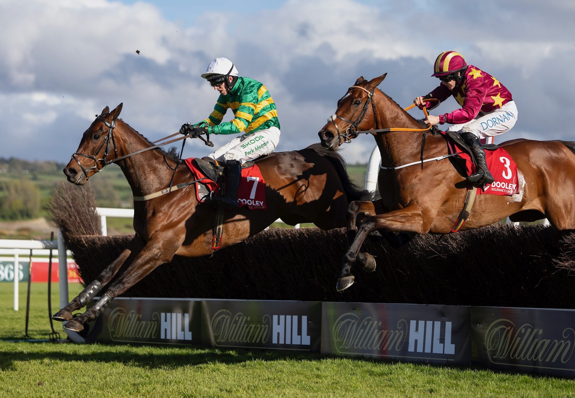 Spillane’s Tower (Walk in the Park)Wins The Grade 1 Champion Novice Chase