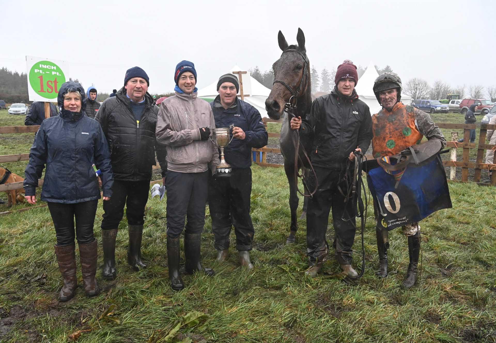 Spinningayarn (Order Of St George) after winning at Inch point-to-point