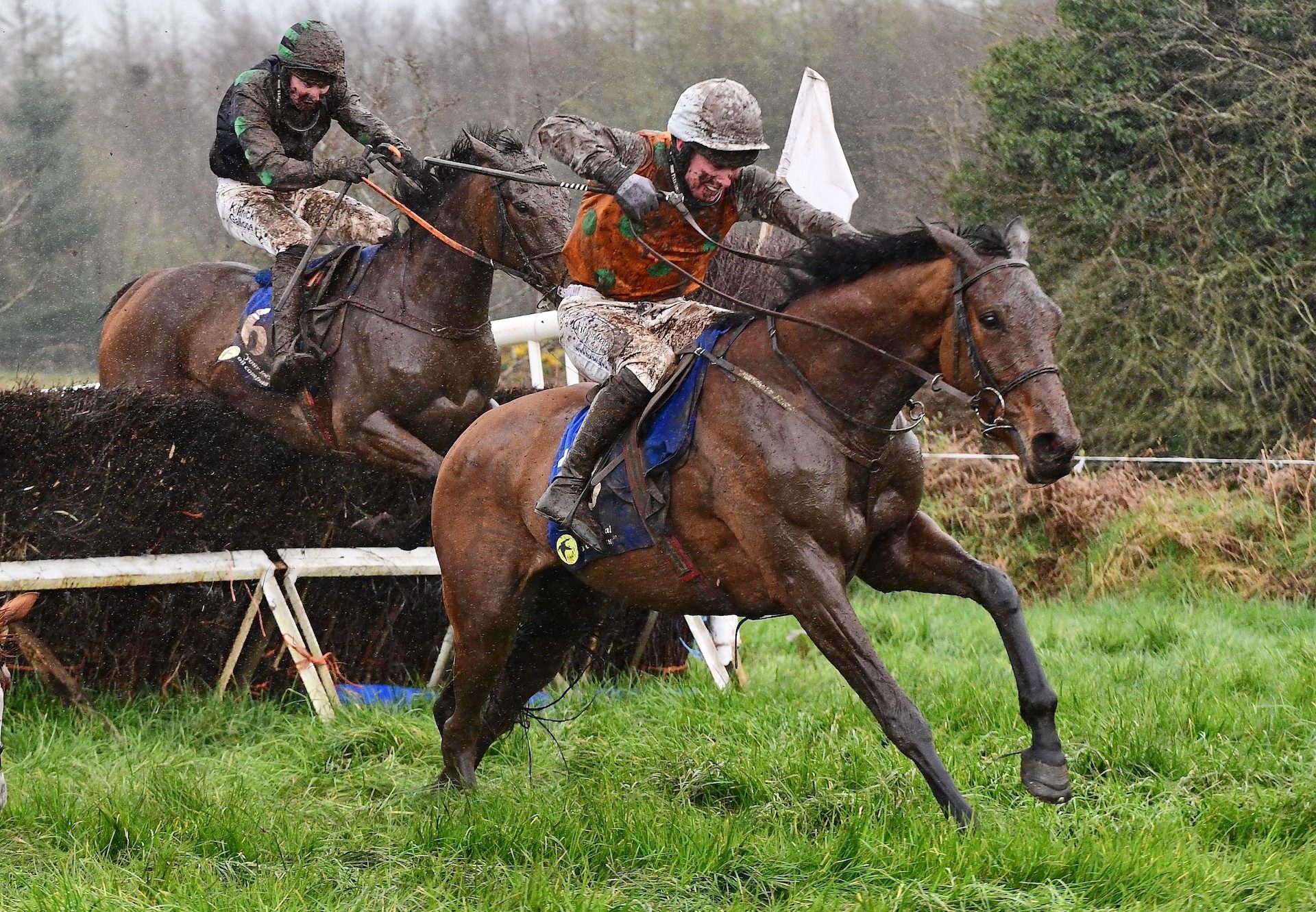 Spinningayarn Wins On Debut