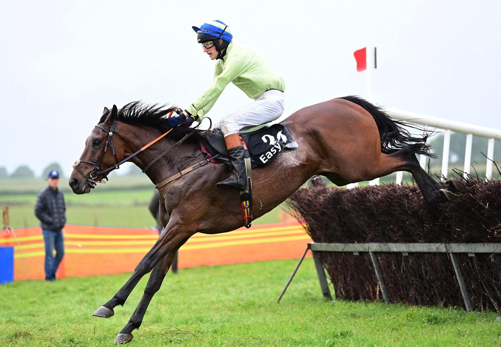 St Lawrences Well Idaho Ballingarry