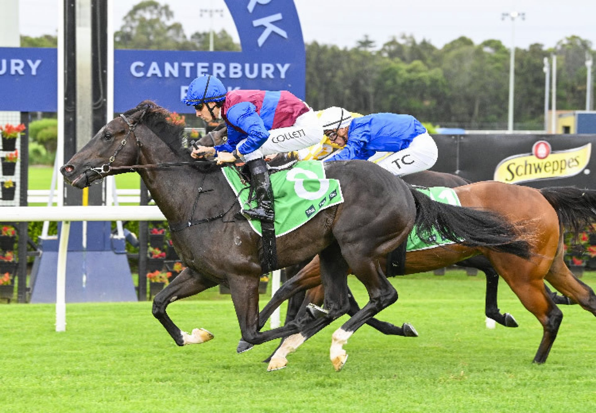 State Visit (Wootton Bassett) Canterbury 750