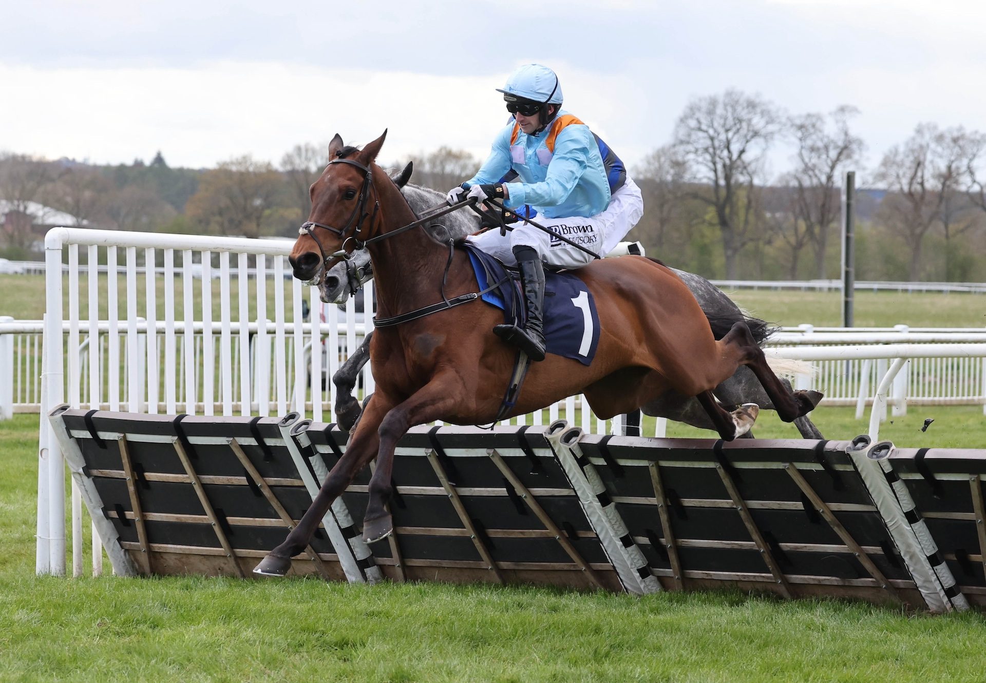 Stoke The Fire (Vadamos) Wins The Novice Hurdle At Perth