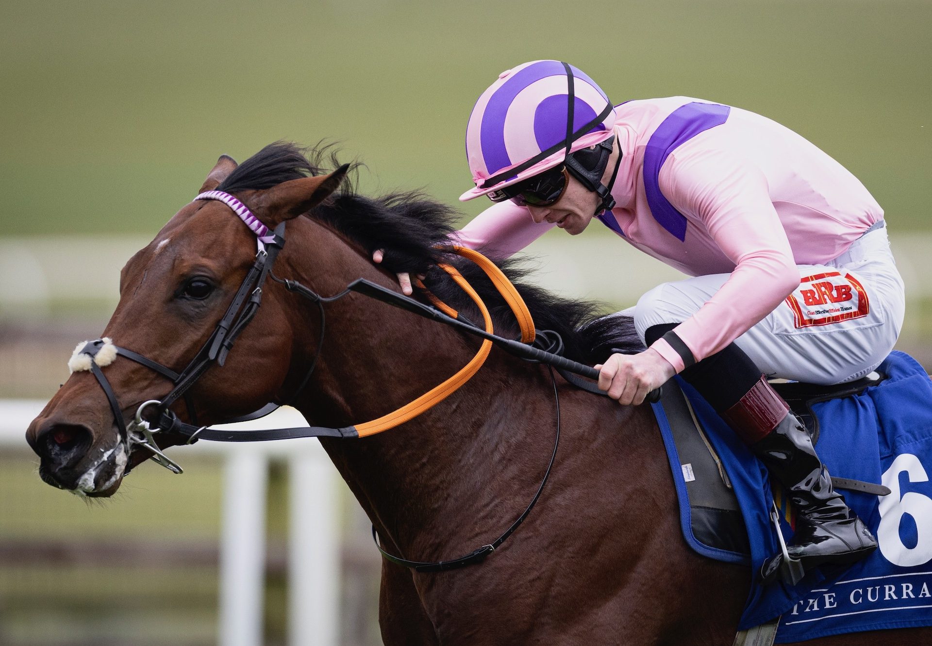 Stop The Nation (Sioux Nation) Wins At The Curragh