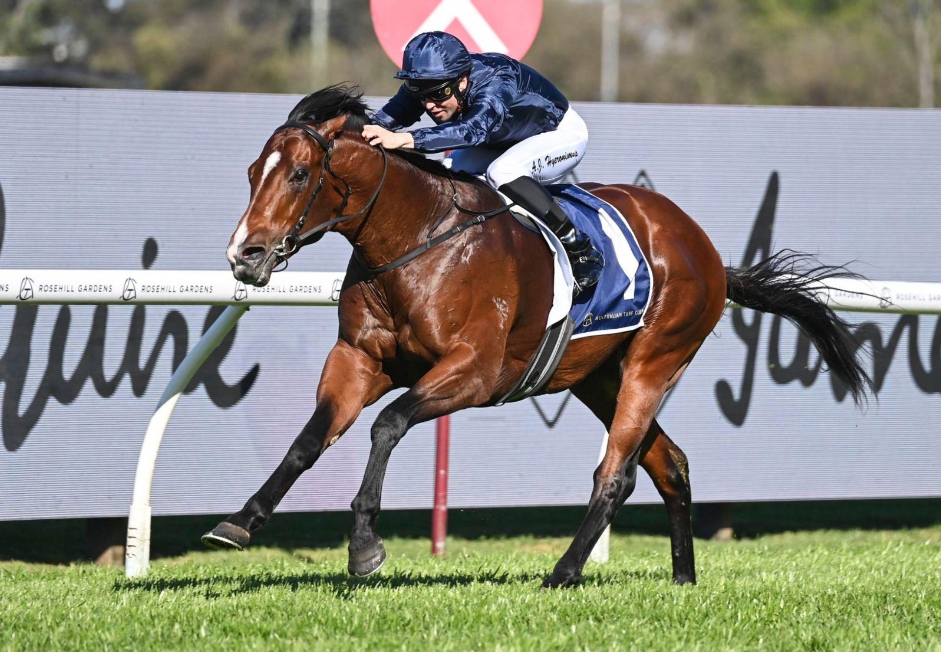 Storm Boy San Domenico Stakes