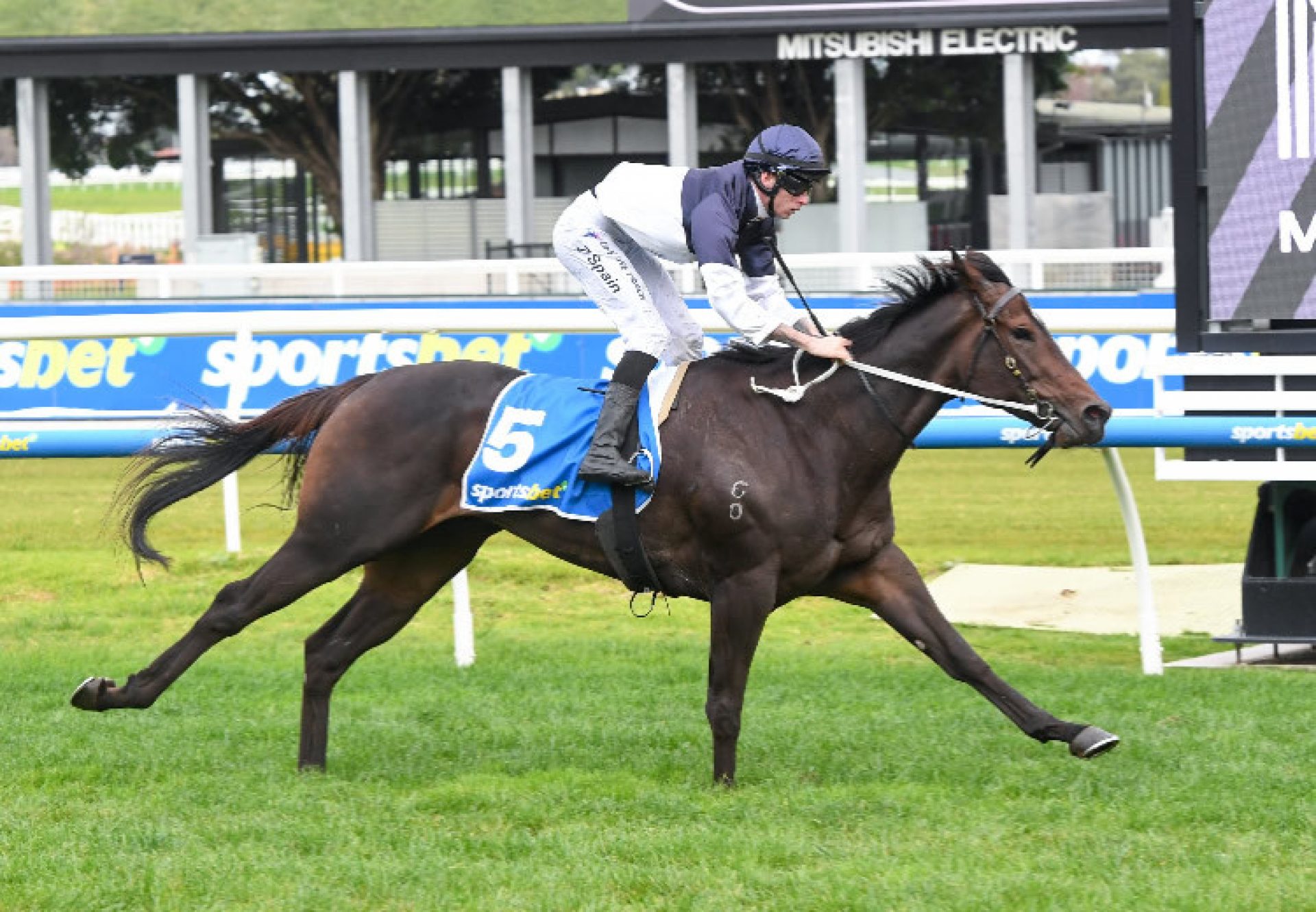 Sure (So You Think) Caulfield