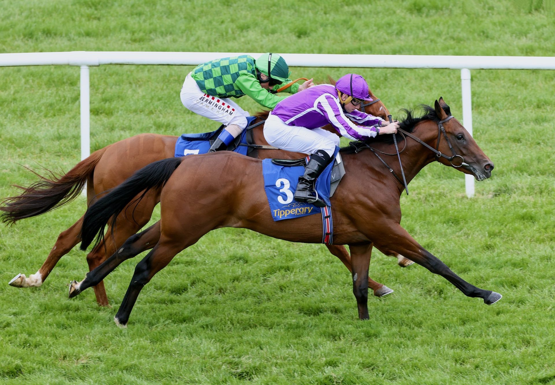 Surpass (Saxon Warrior) Impresses On Debut