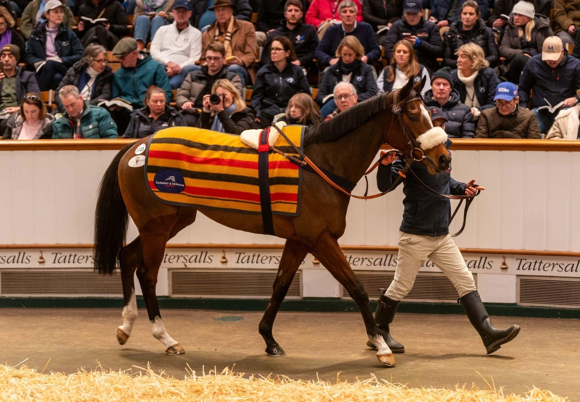 Survie Churchill Tattersalls