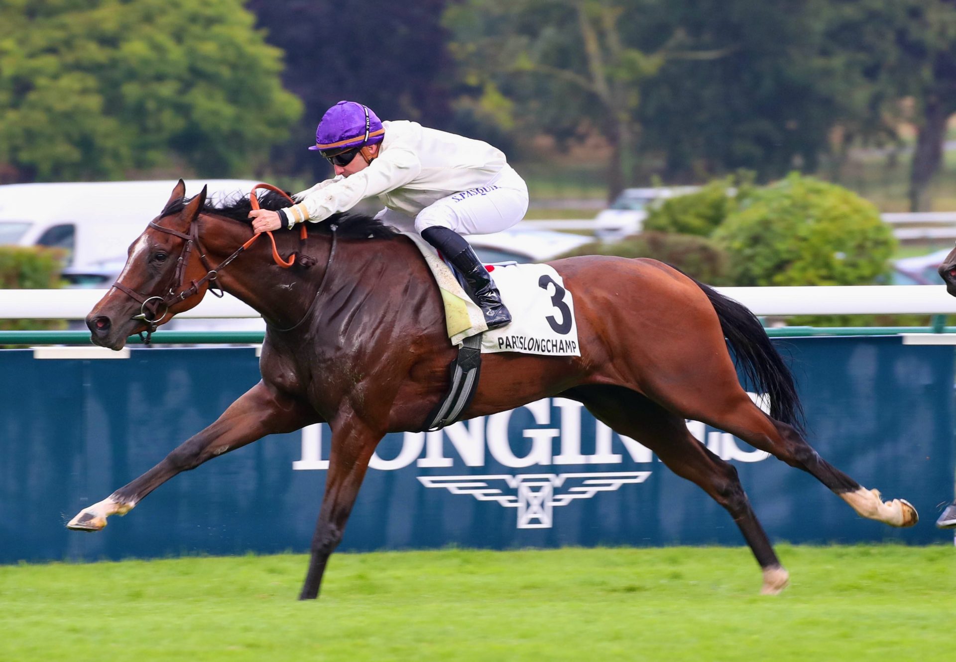 Survie (Churchill) Wins The Group 2 Prix De Malleret
