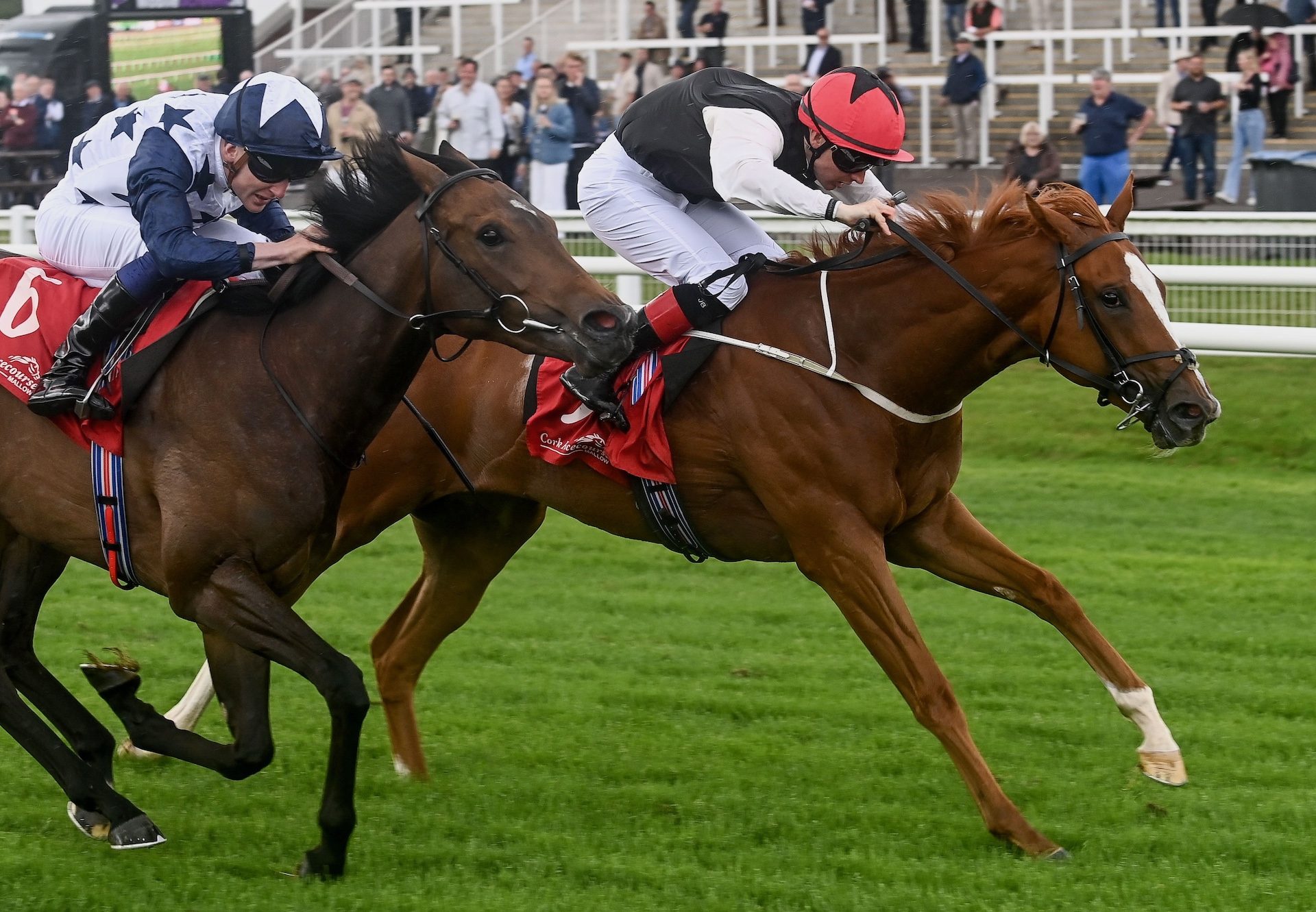 Suzie Songs (starspangledbanner) Wins On Debut