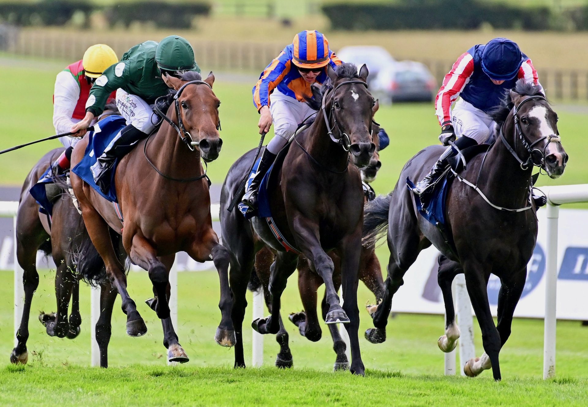 Swagman (Wootton Bassett) Wins His Maiden At Naas