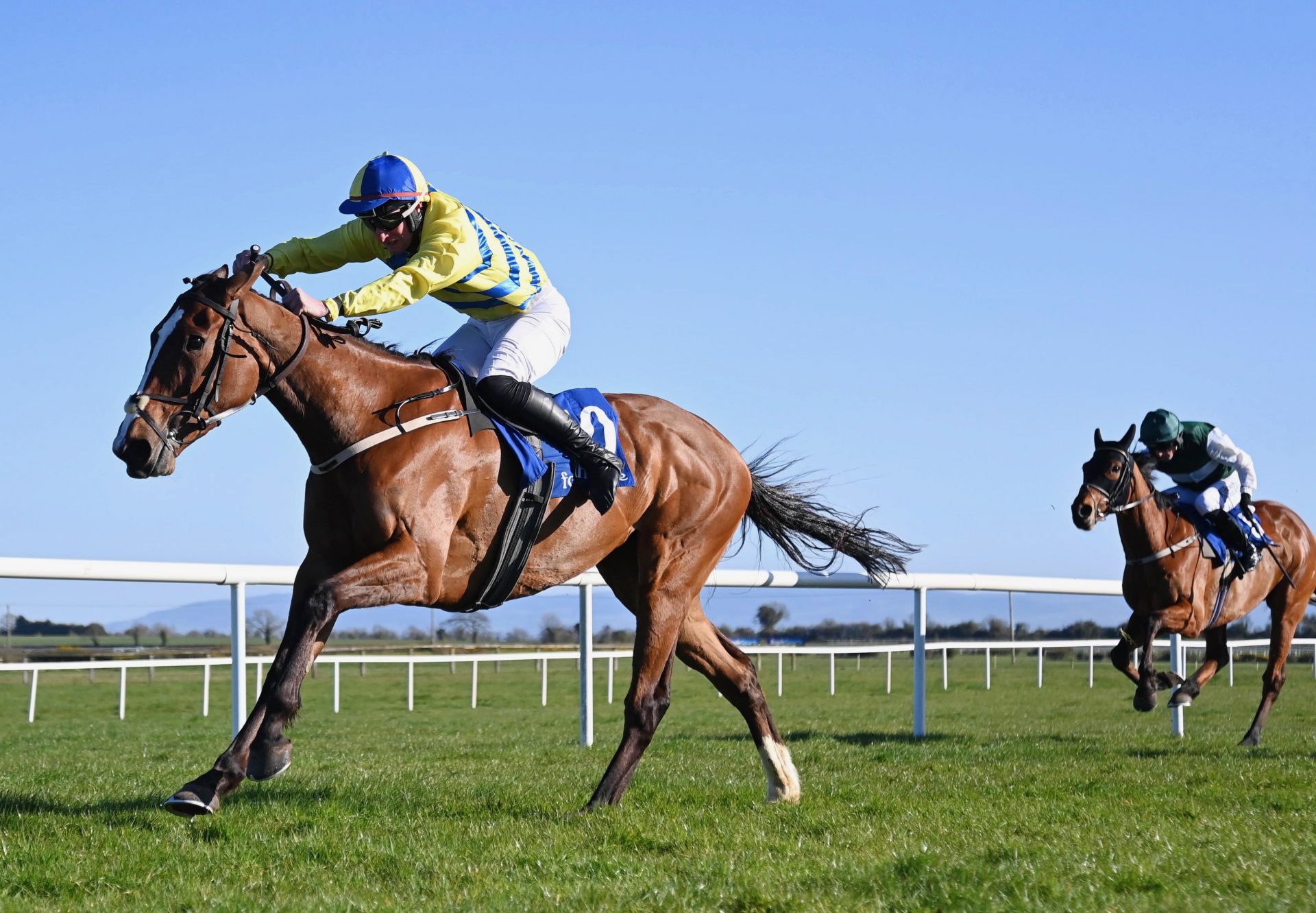 Switch From Diesel (Yeats) Wins The Listed Mares Bumper At Fairyhouse