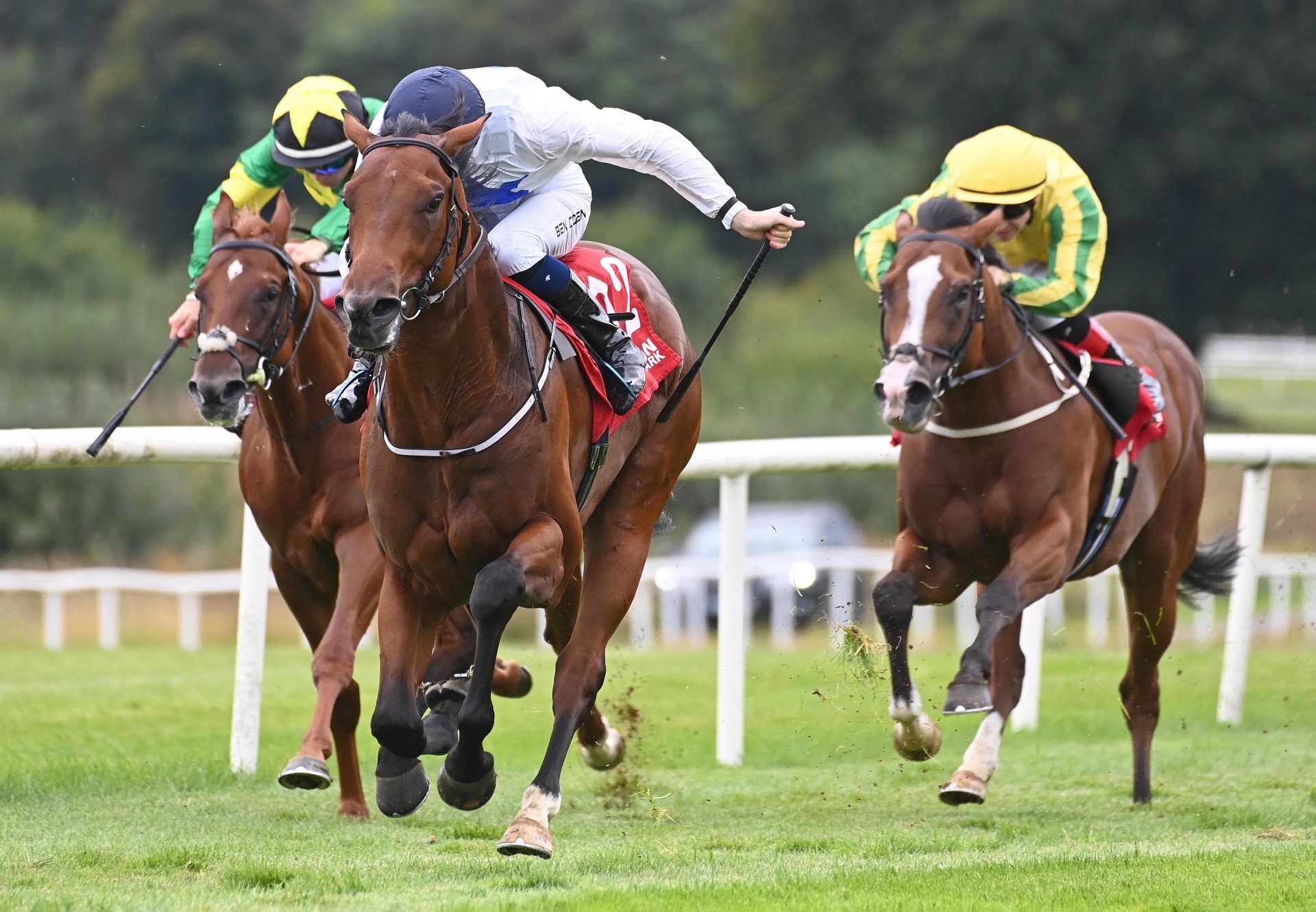 Take Charge Star (Starspangledbanner) Gowran Park