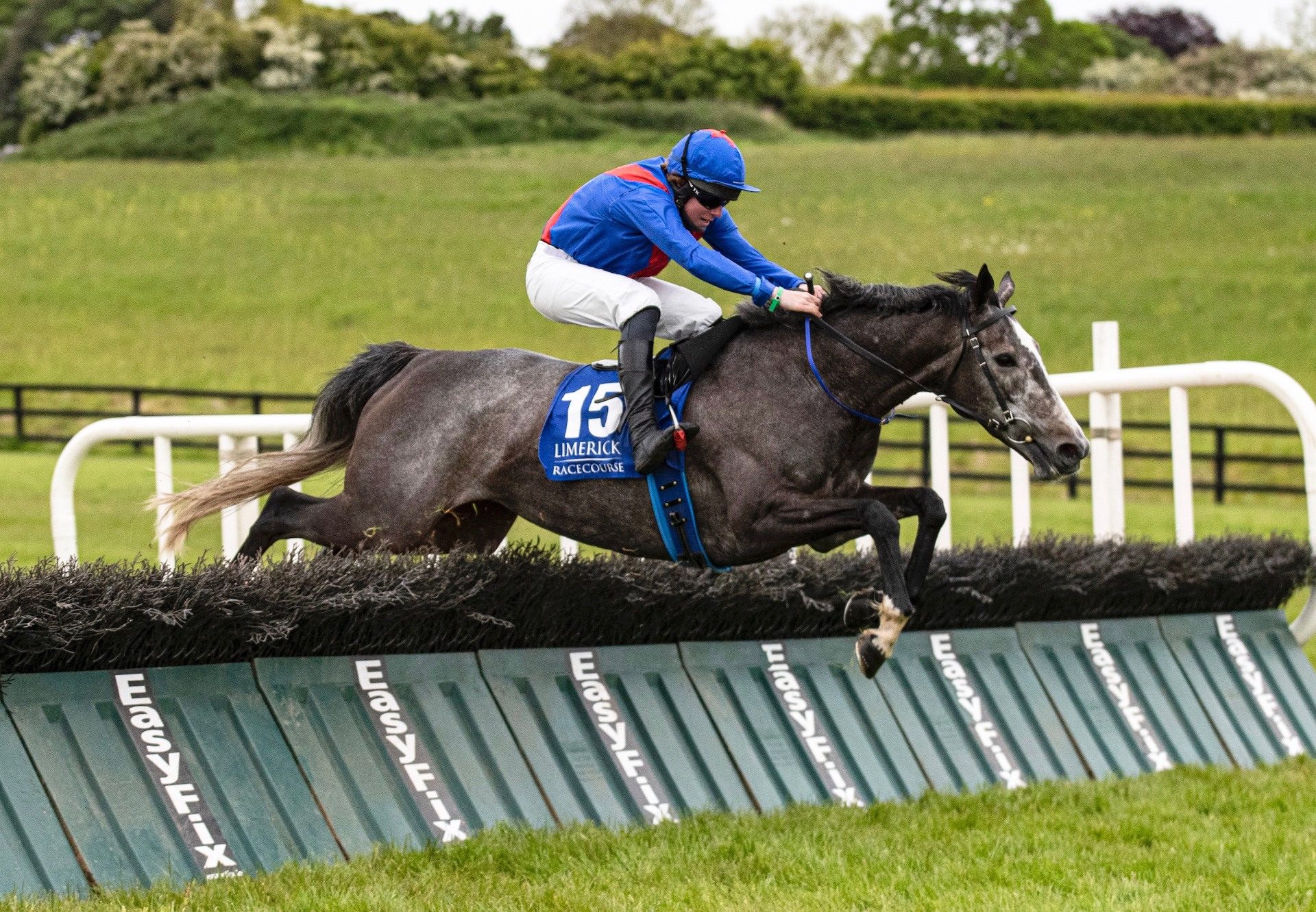 The Getaway Star (Getaway) Wins The Mares Maiden Hurdle At Limerick