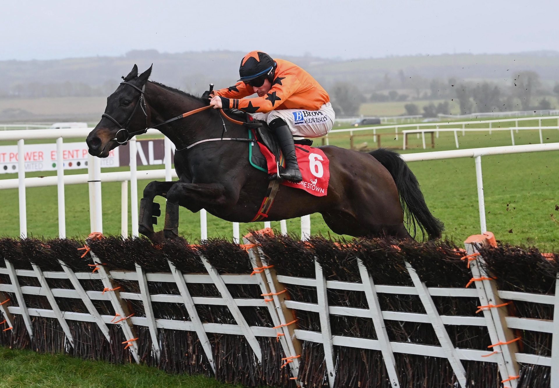 The Great Nudie (Wings Of Eagles) Wins The Rated Novice Hurdle At Punchestown