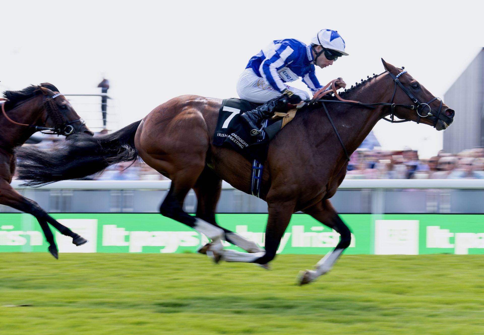 The Foxes (Churchill) Wins The Group 2 Huxley Stakes